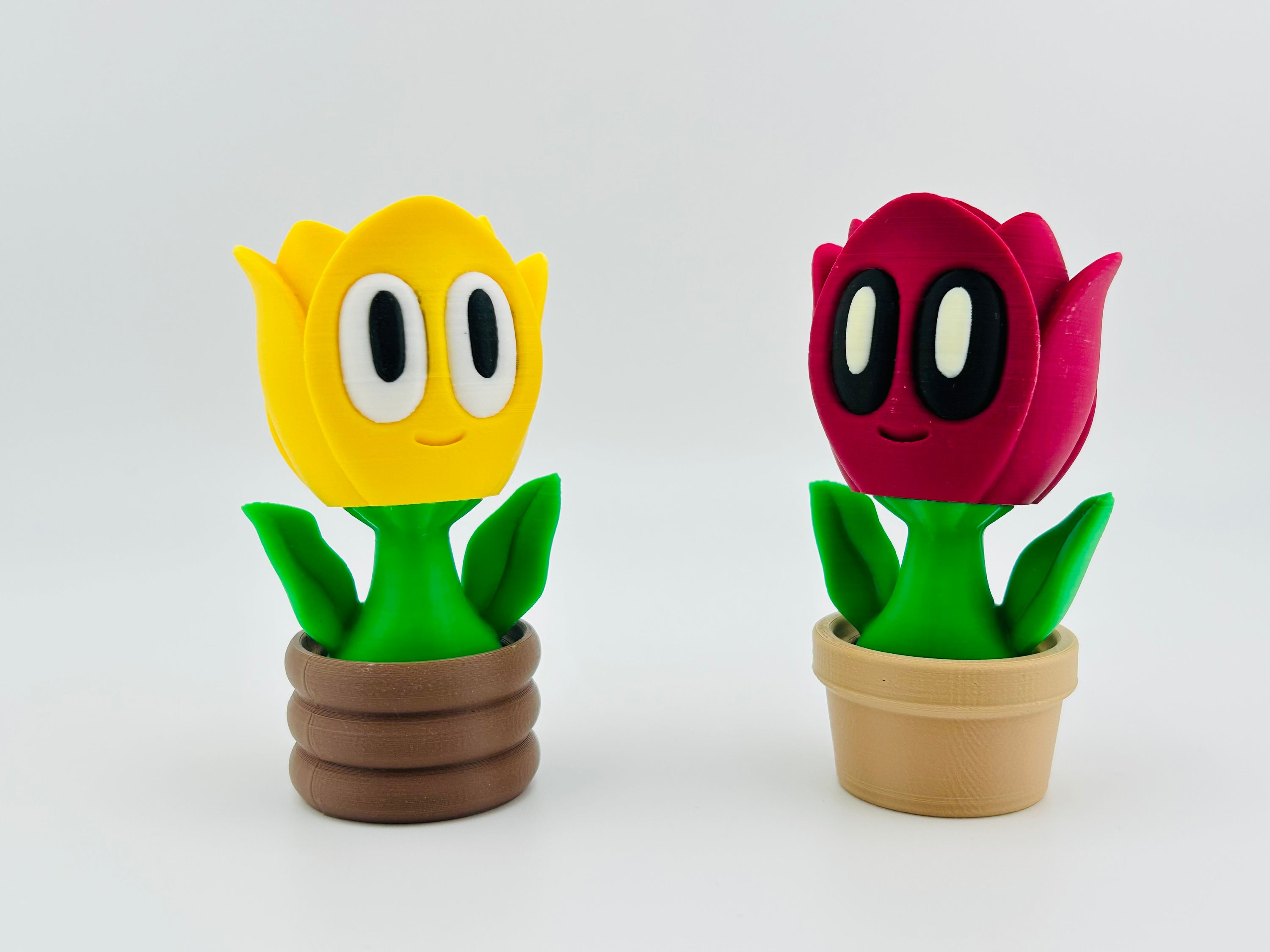 Pink Tulip