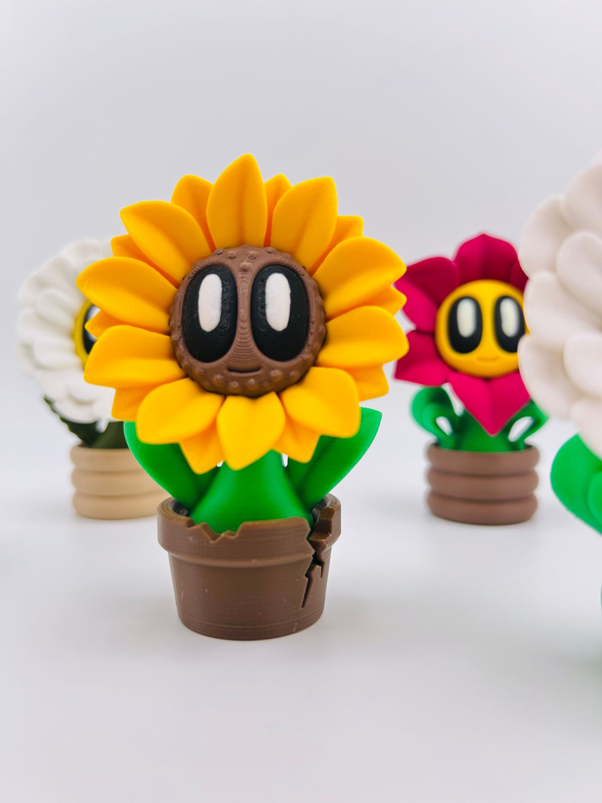 Yellow Sunflower