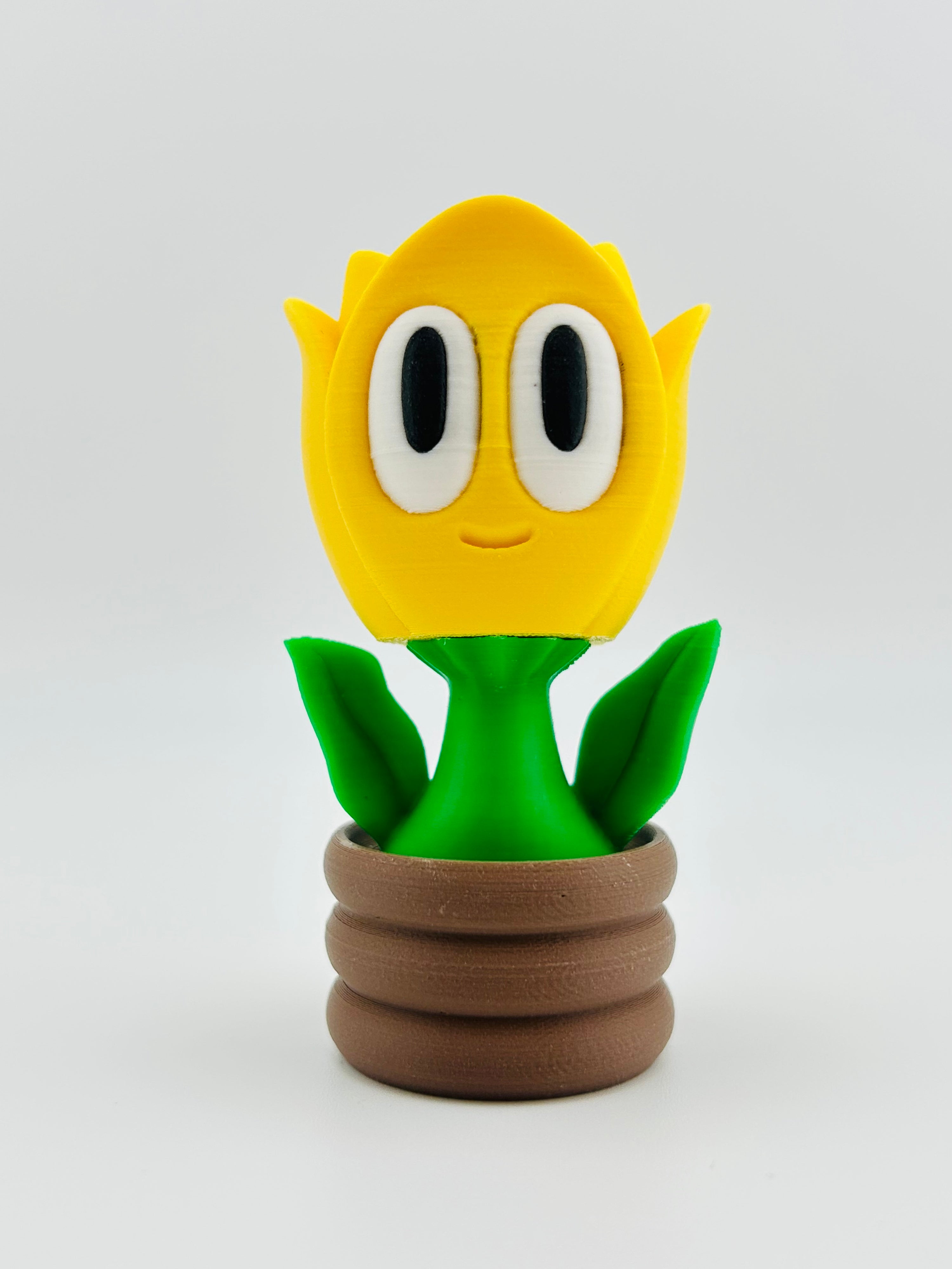 Yellow Tulip