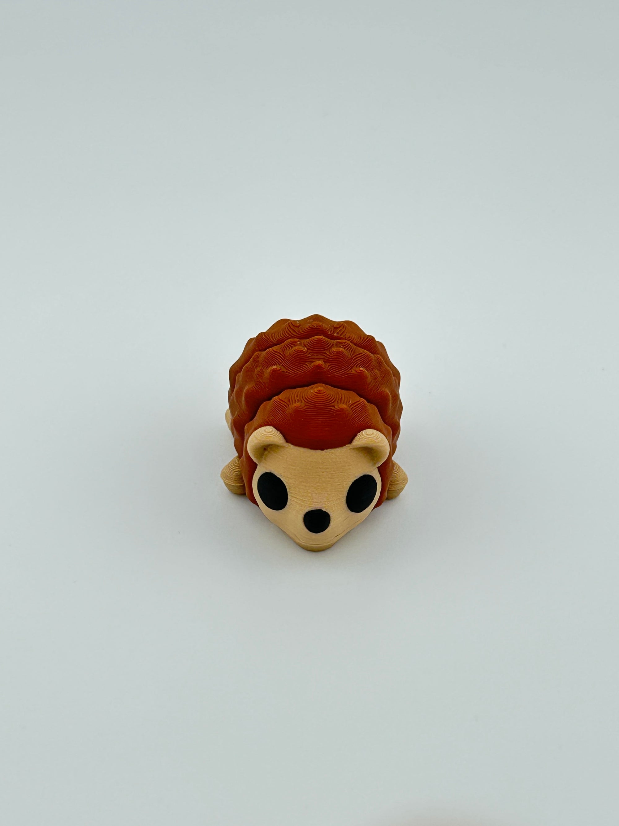Baby Hedgehog
