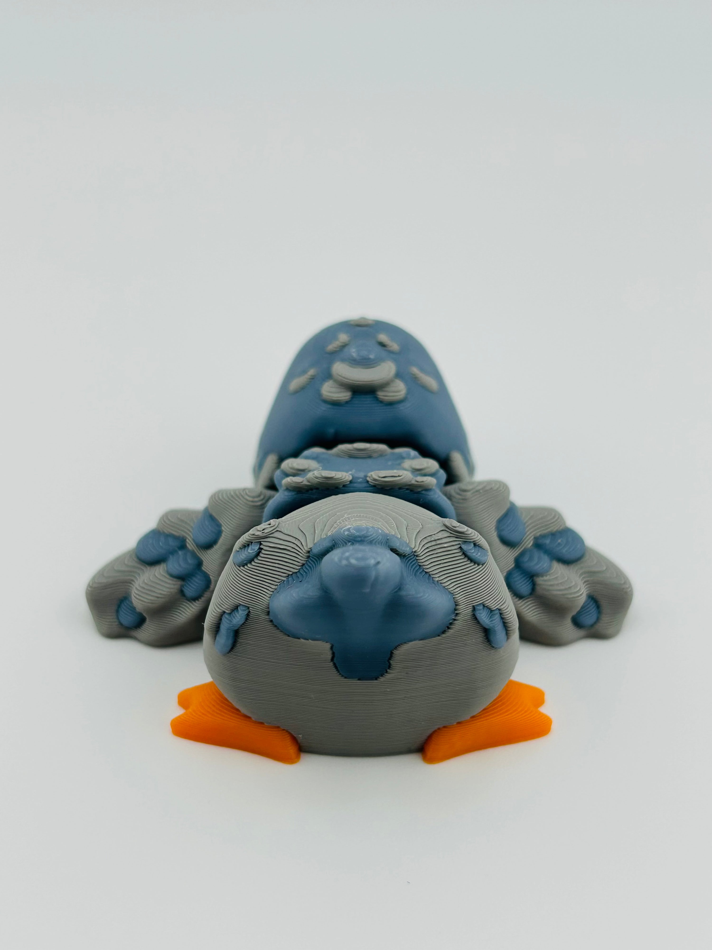 Pigeon