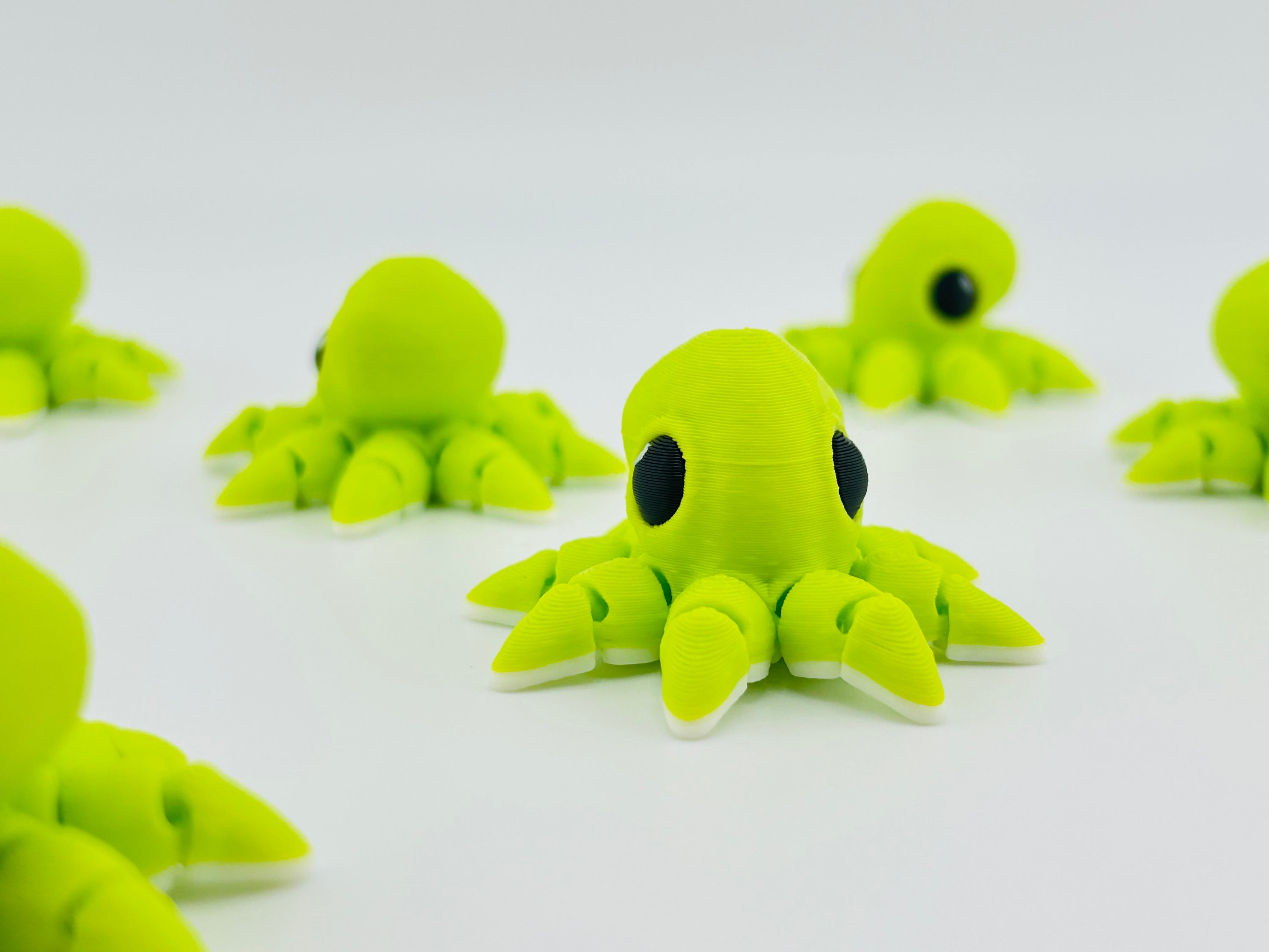 Octopus Hatchling Green