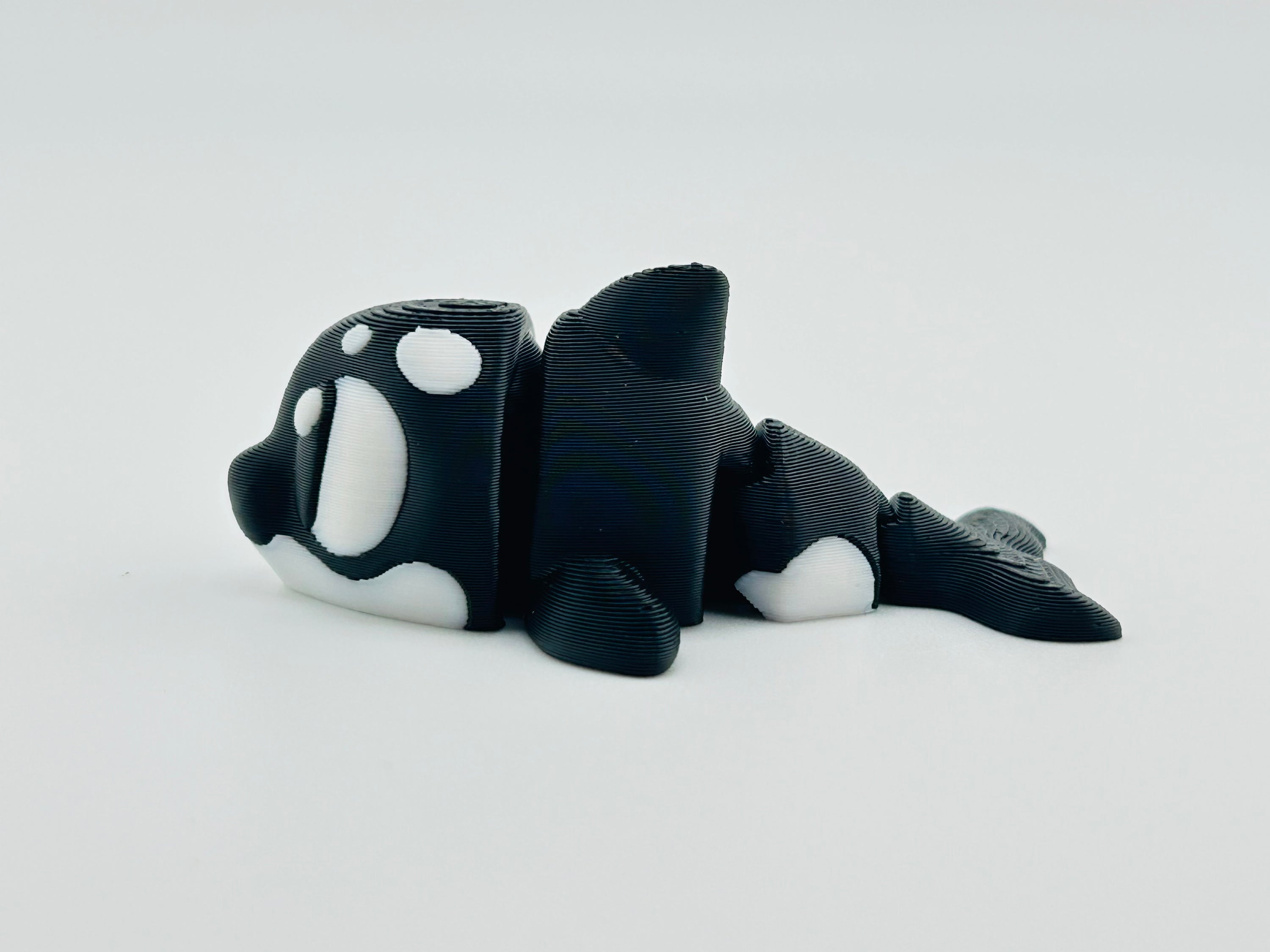Killer Whale