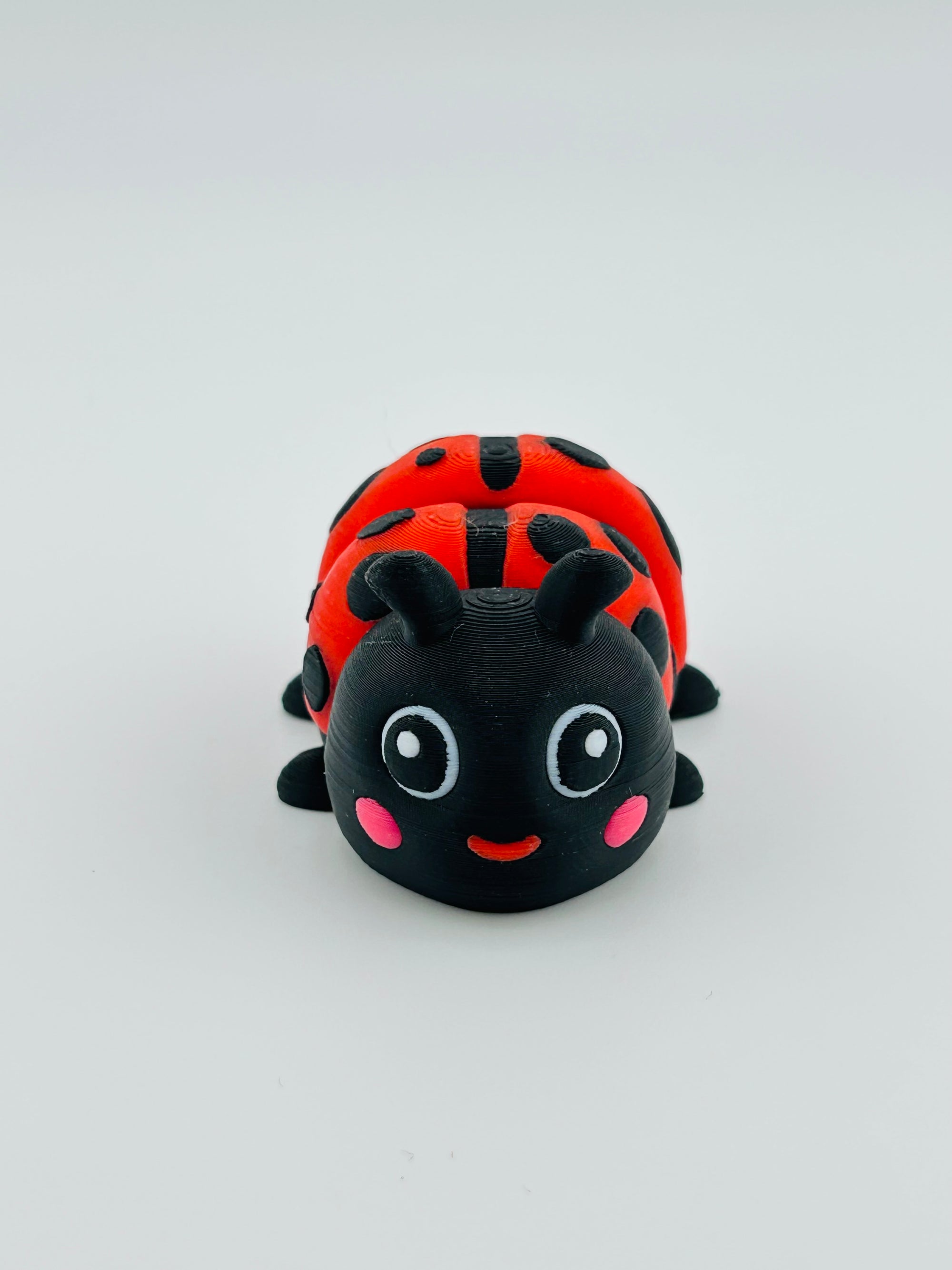 Mini Ladybirds