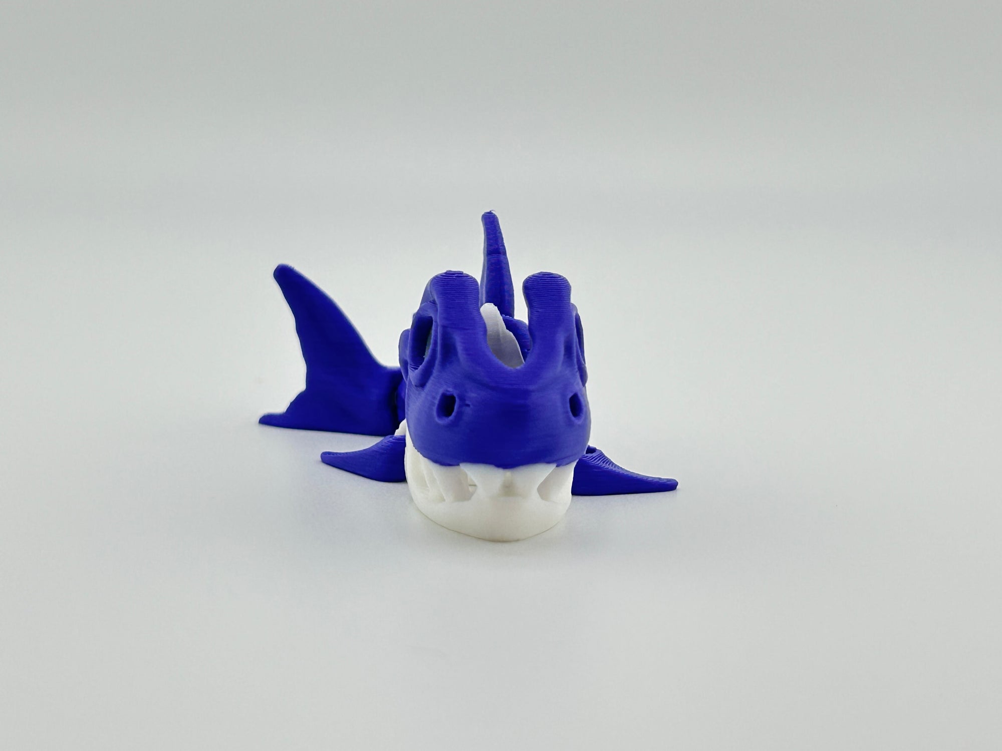 Mini Skeleton Shark