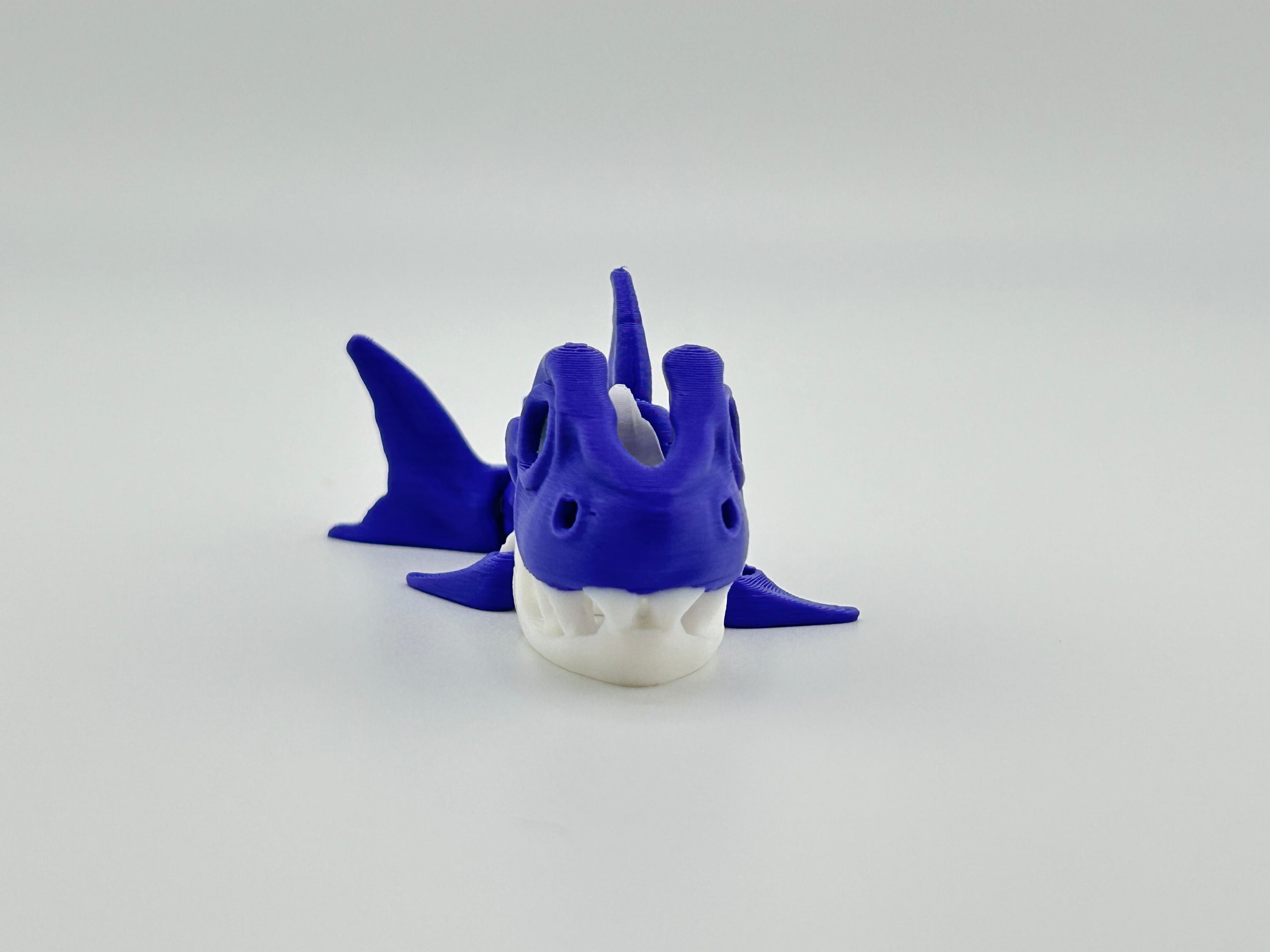 Mini Skeleton Shark