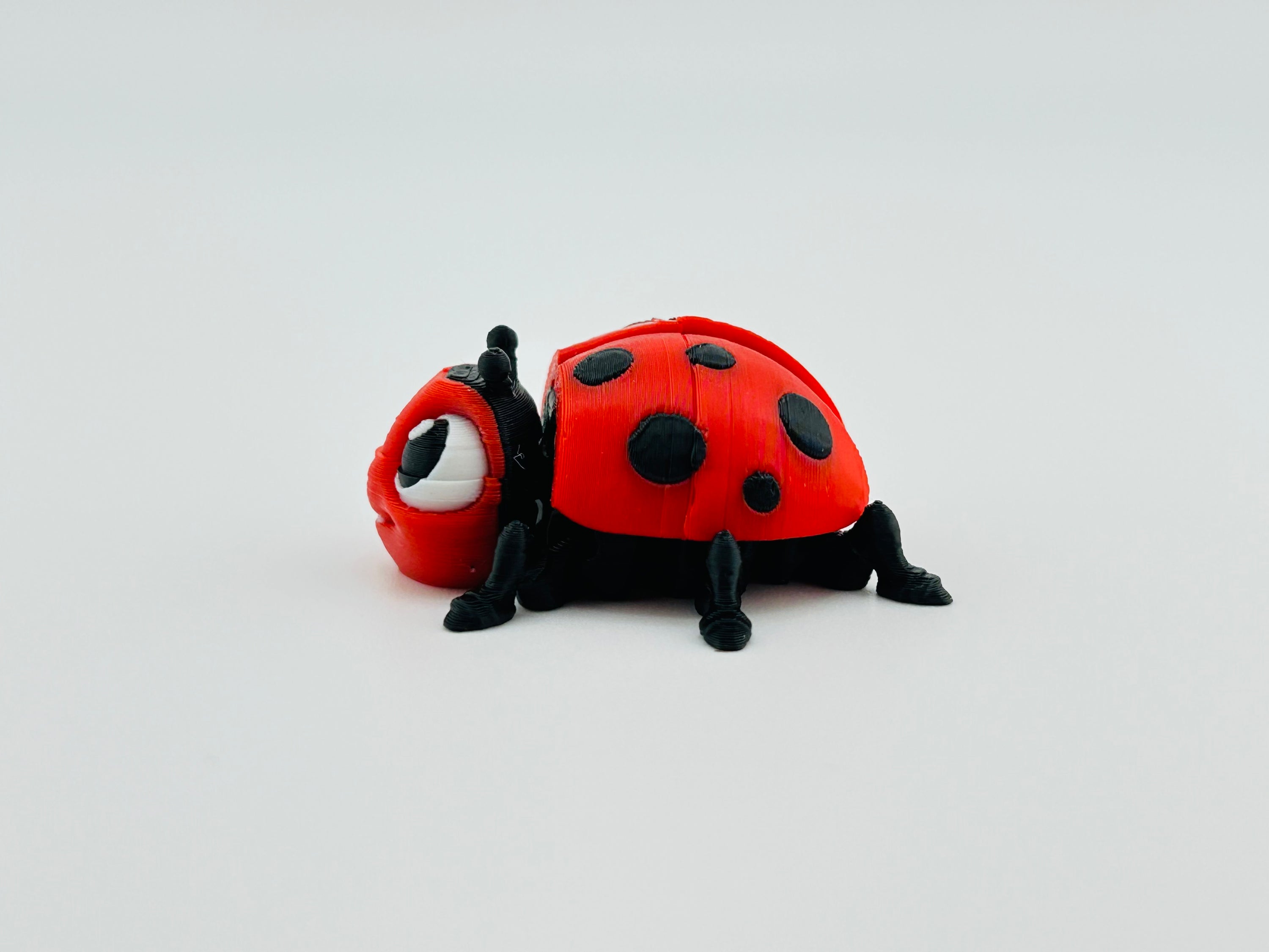Ladybug Red