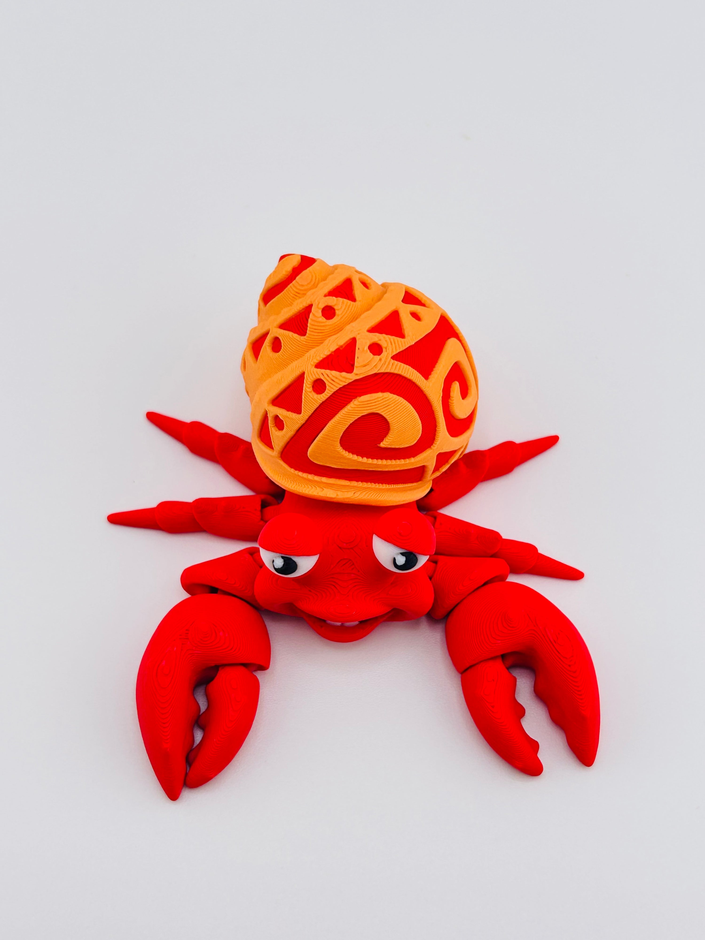 Tattooed Hermit Crab