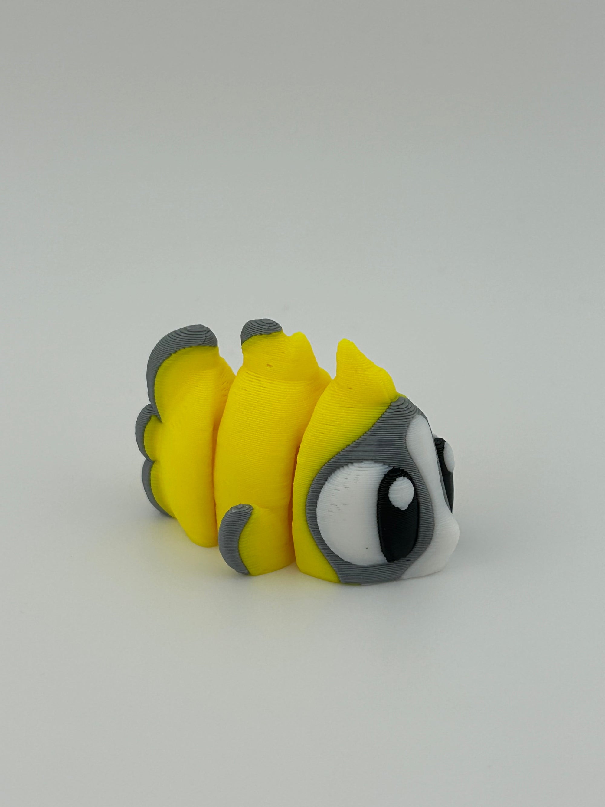 Butterfly Fish