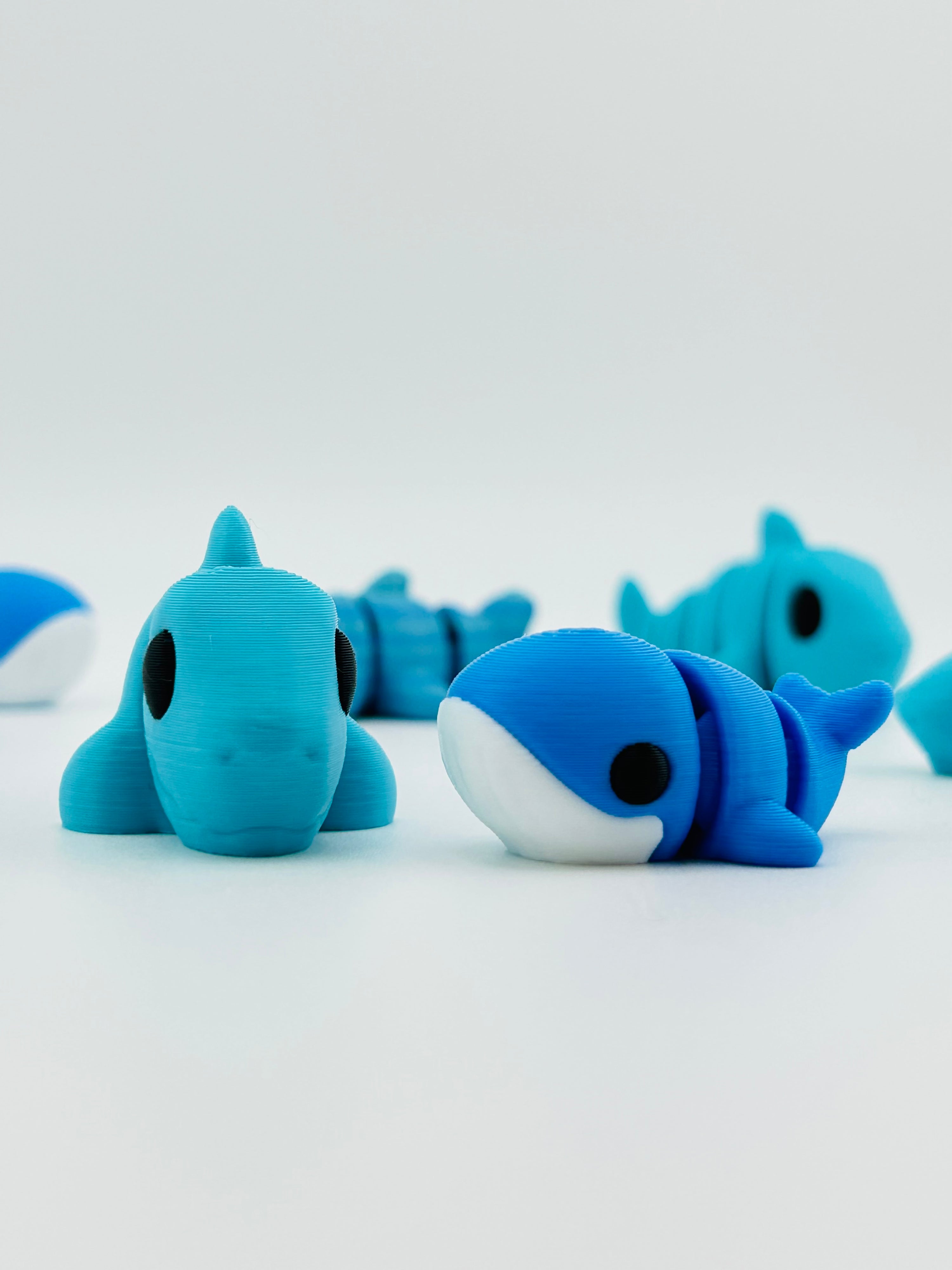Shark
