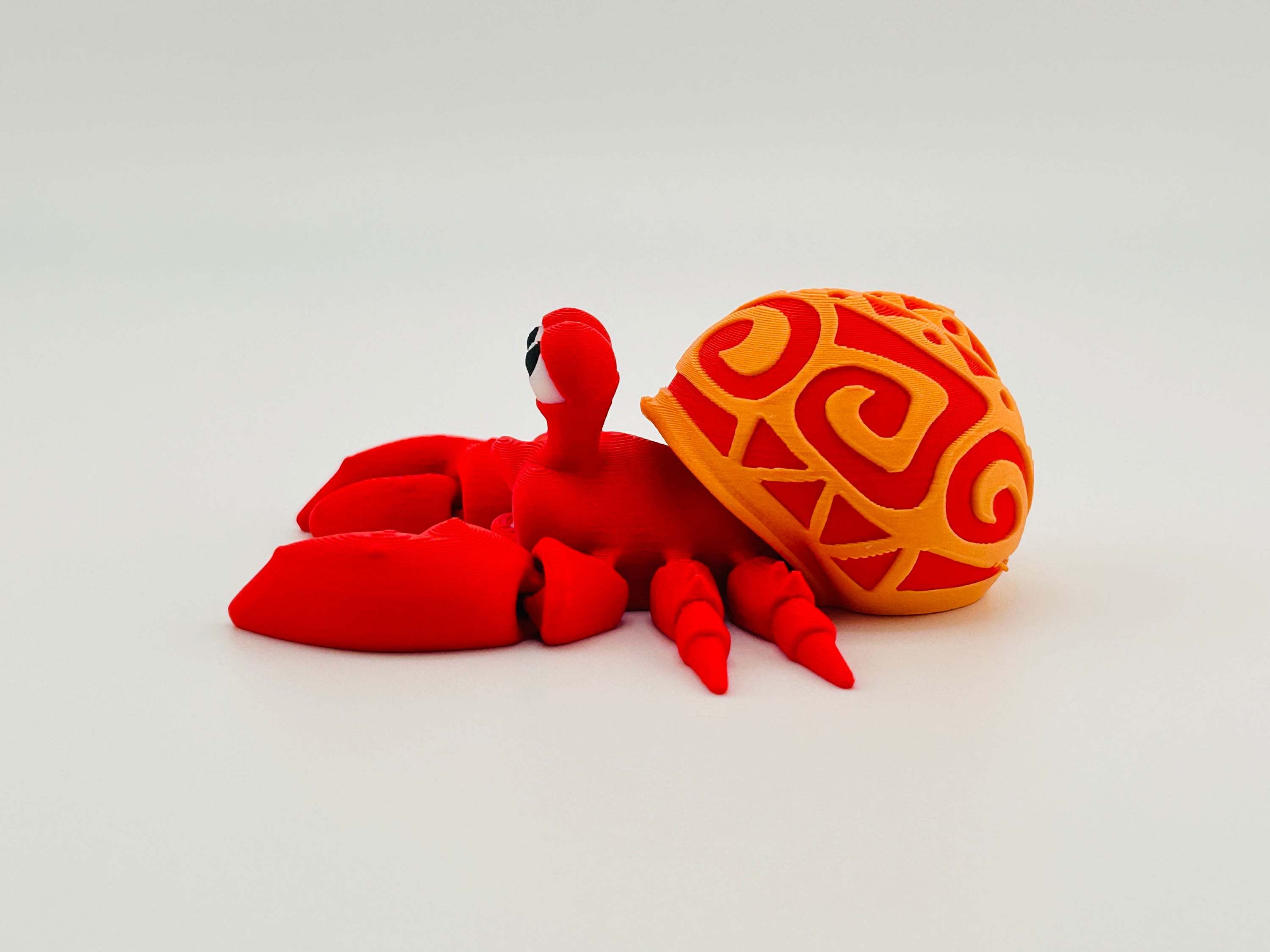 Tattooed Hermit Crab