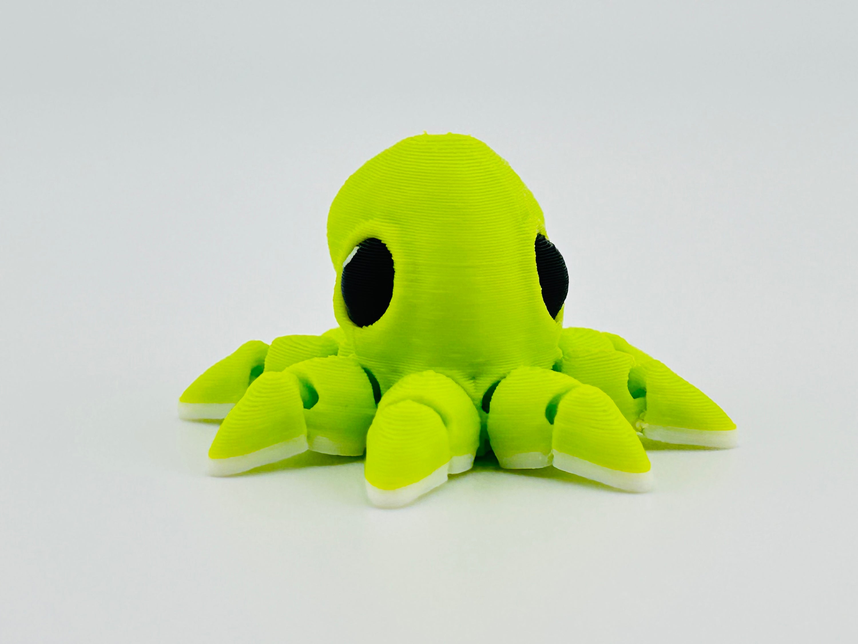 Octopus Hatchling Green