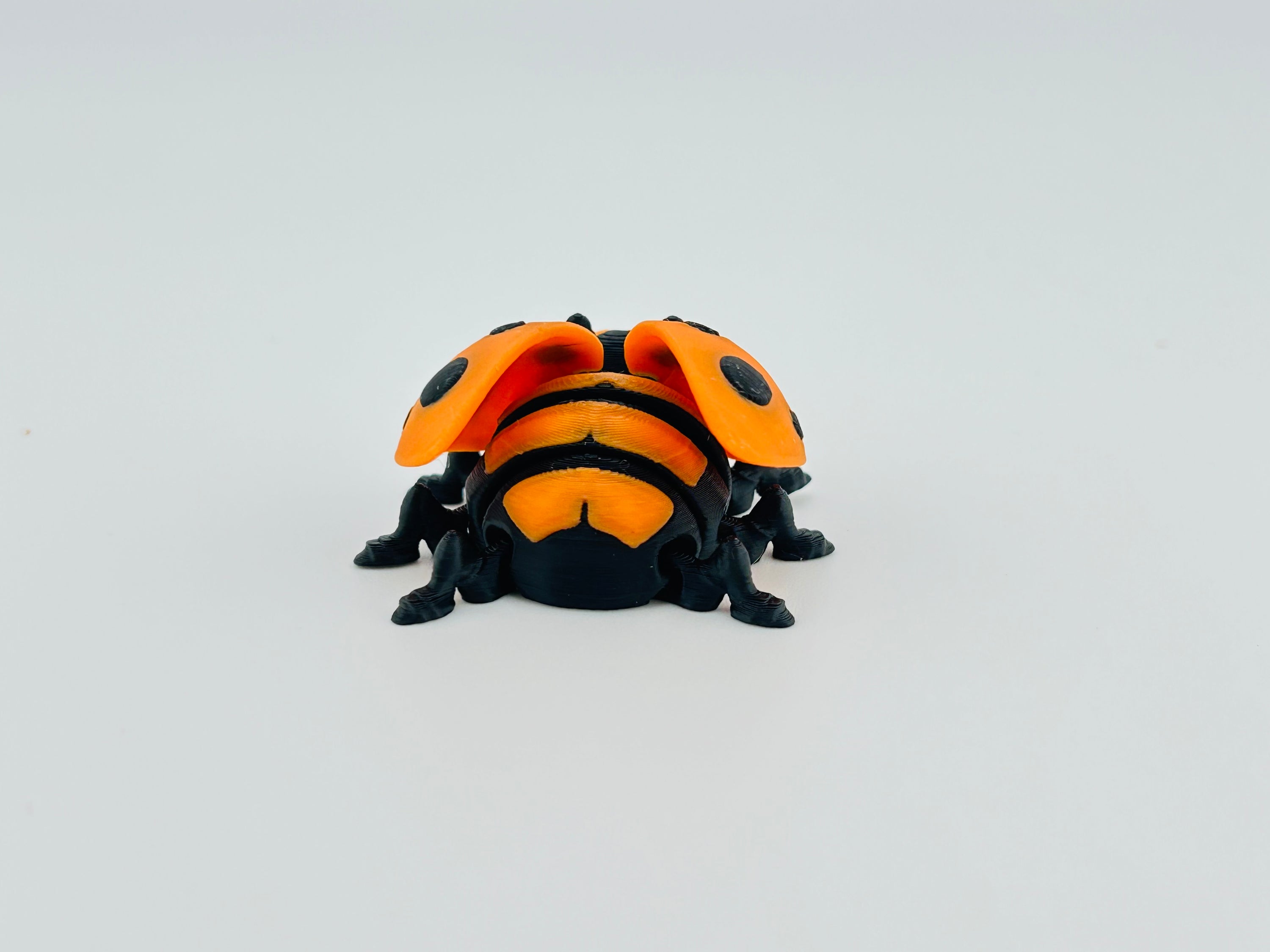 Ladybug Orange