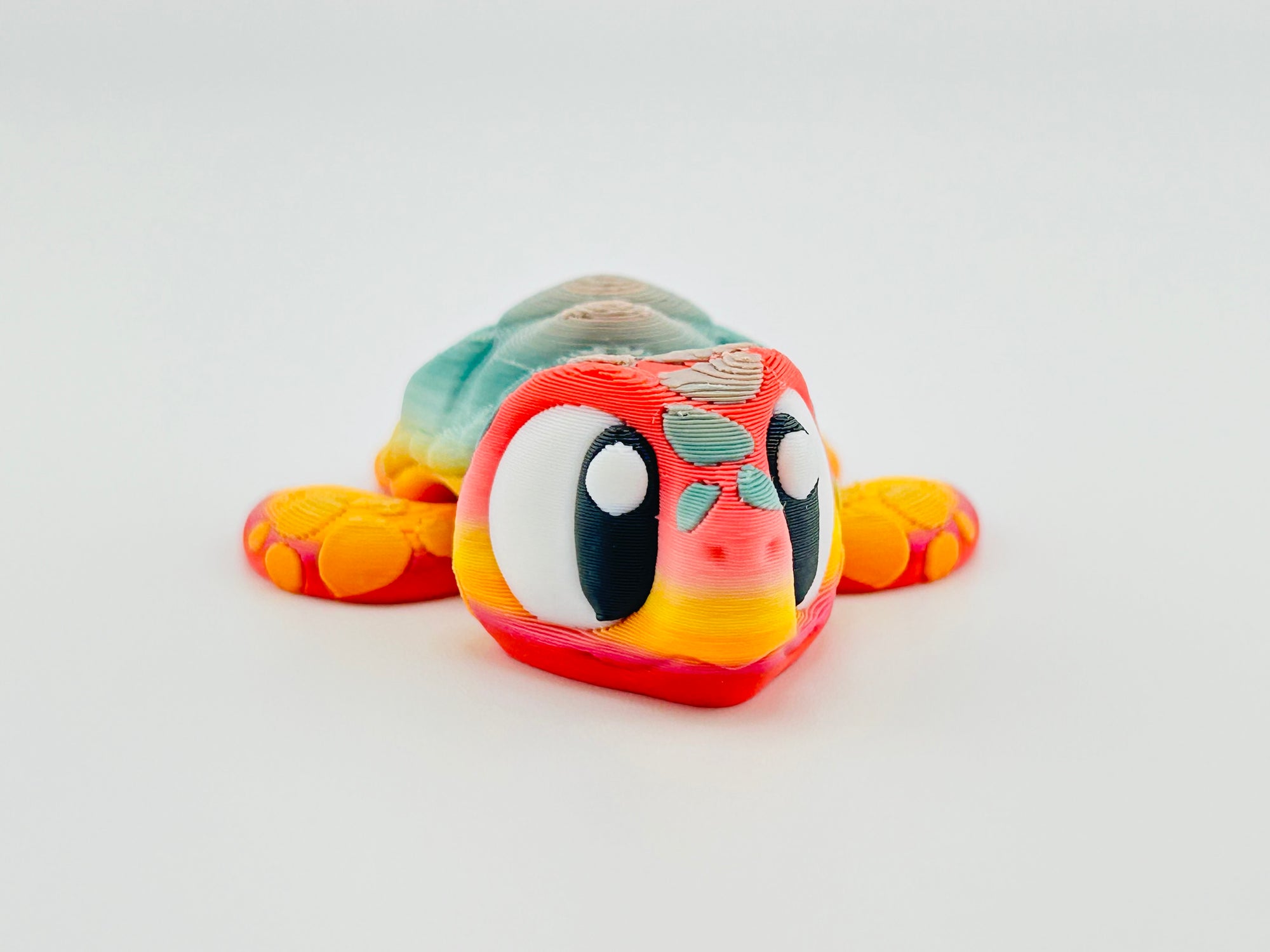 Sea Turtle Exclusive Gradient