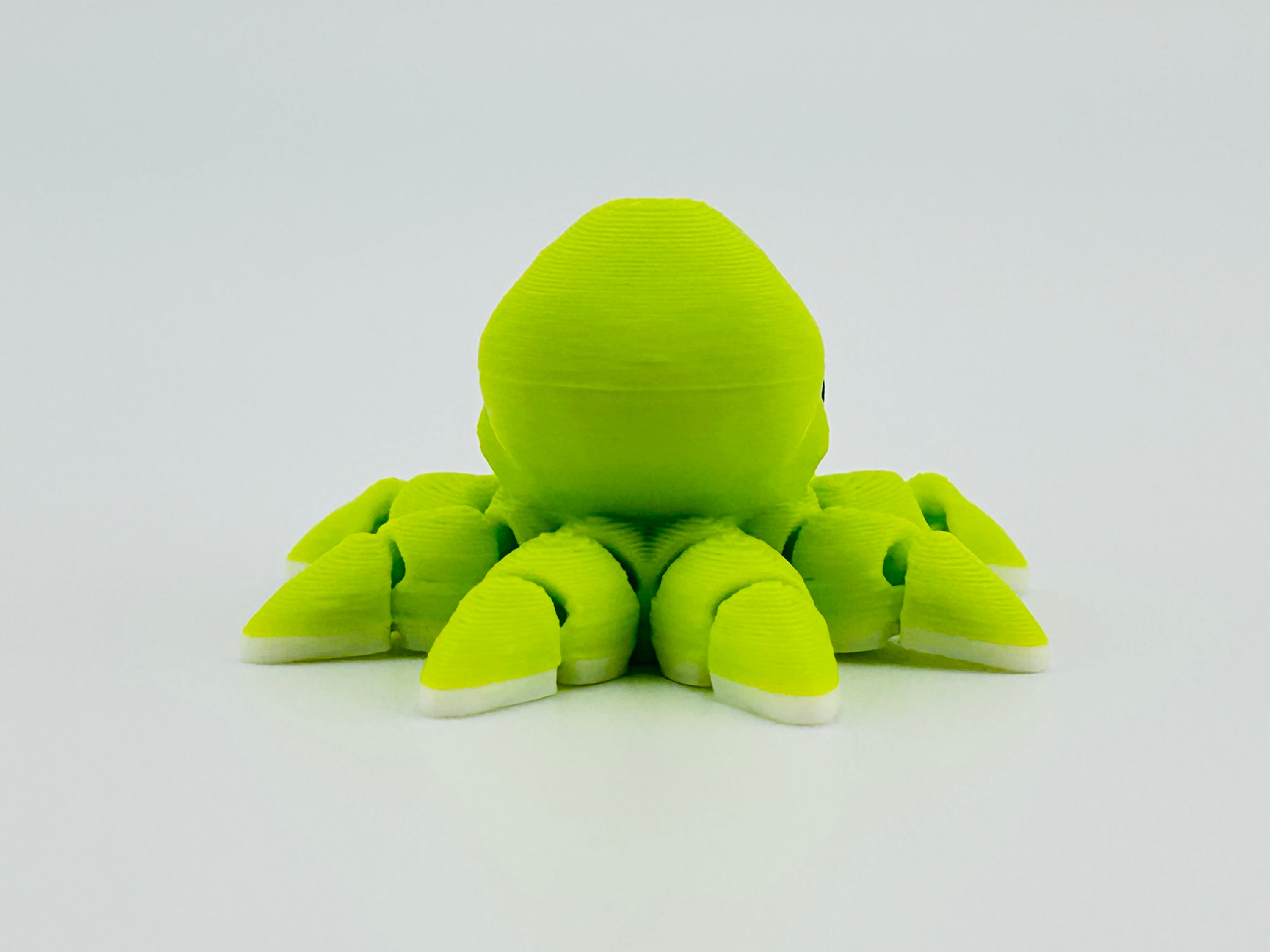Octopus Hatchling Green