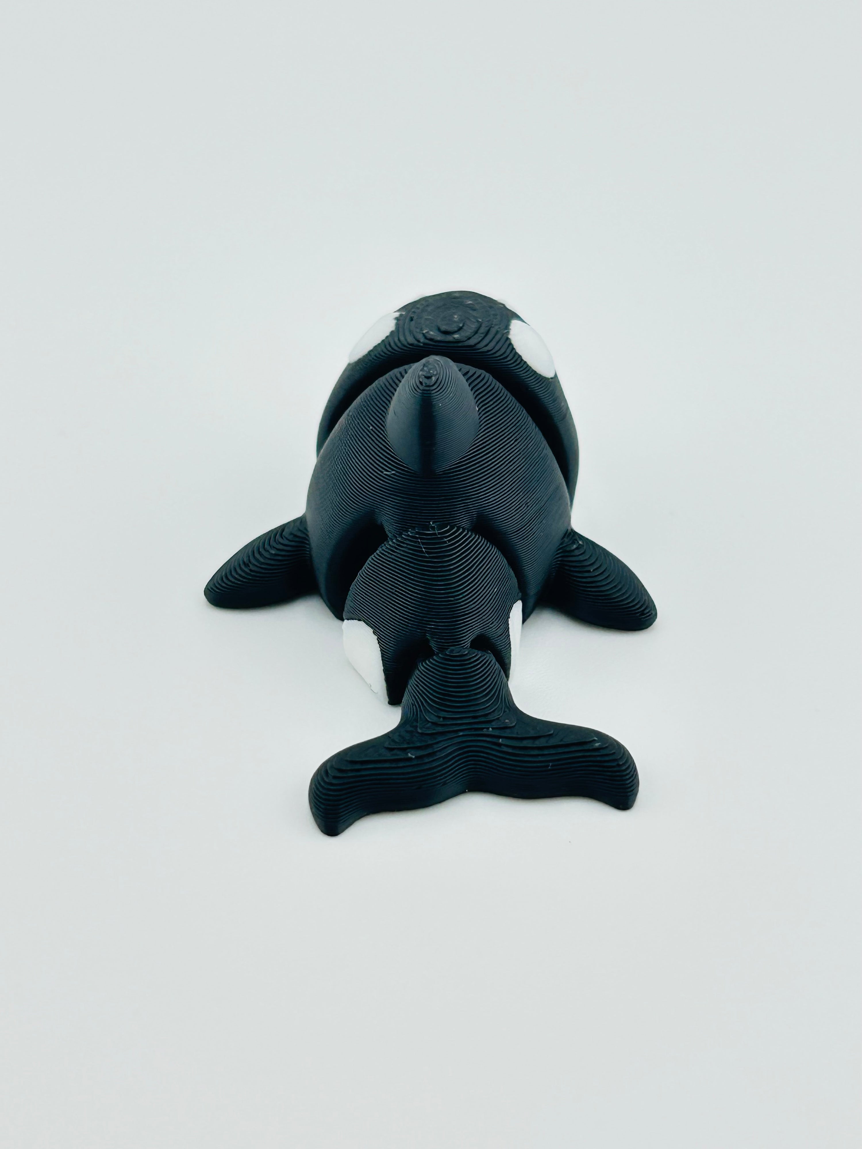 Killer Whale