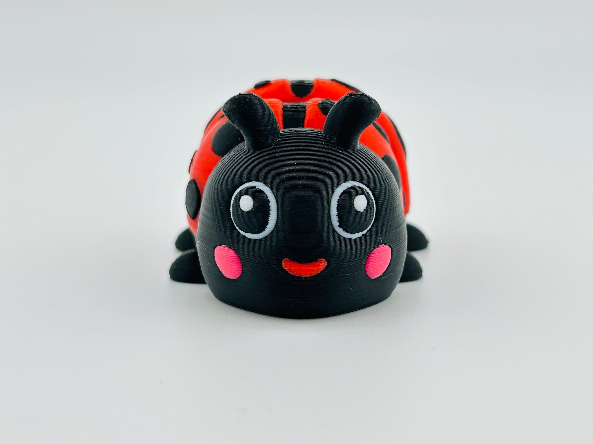 Ladybird Large