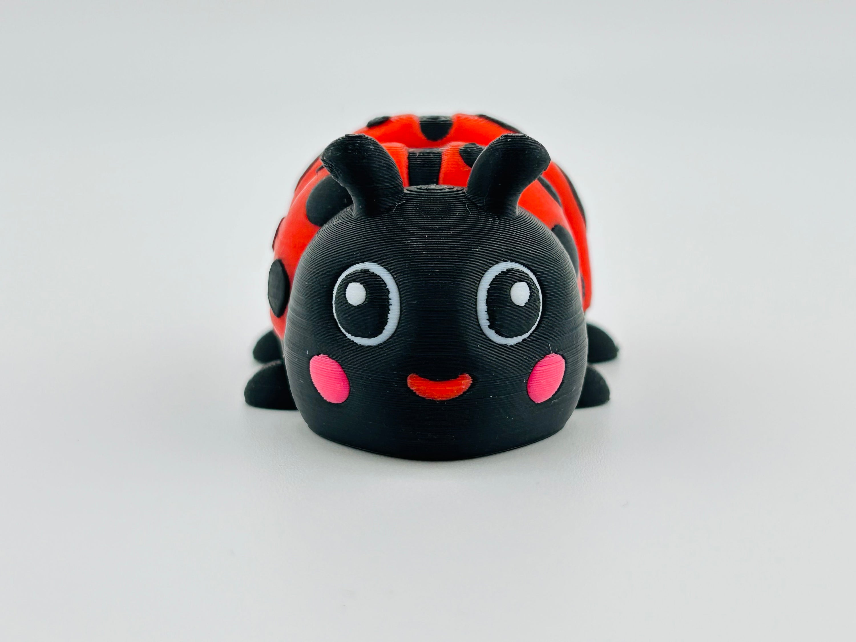 Ladybird Large