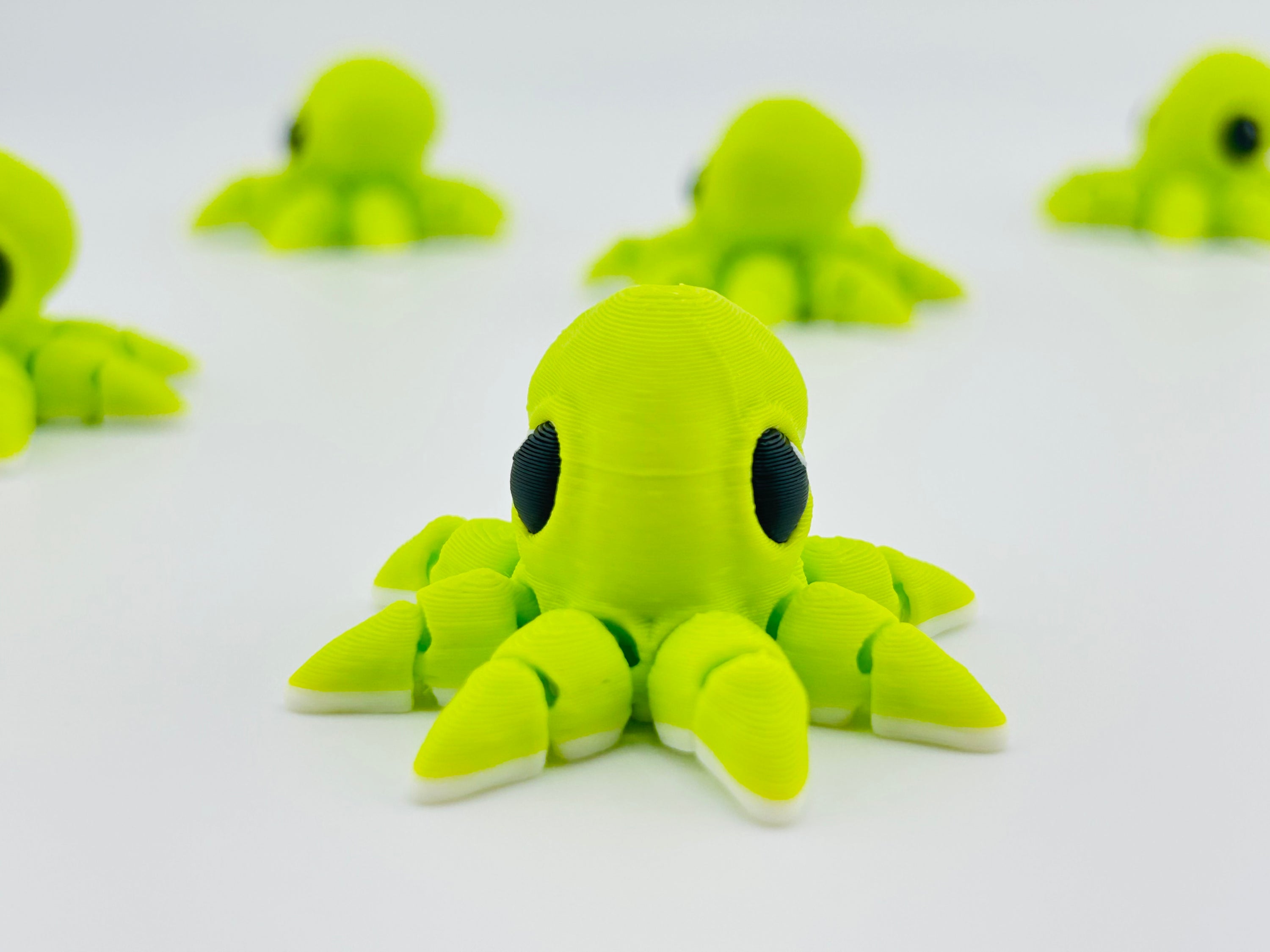 Octopus Hatchling Green