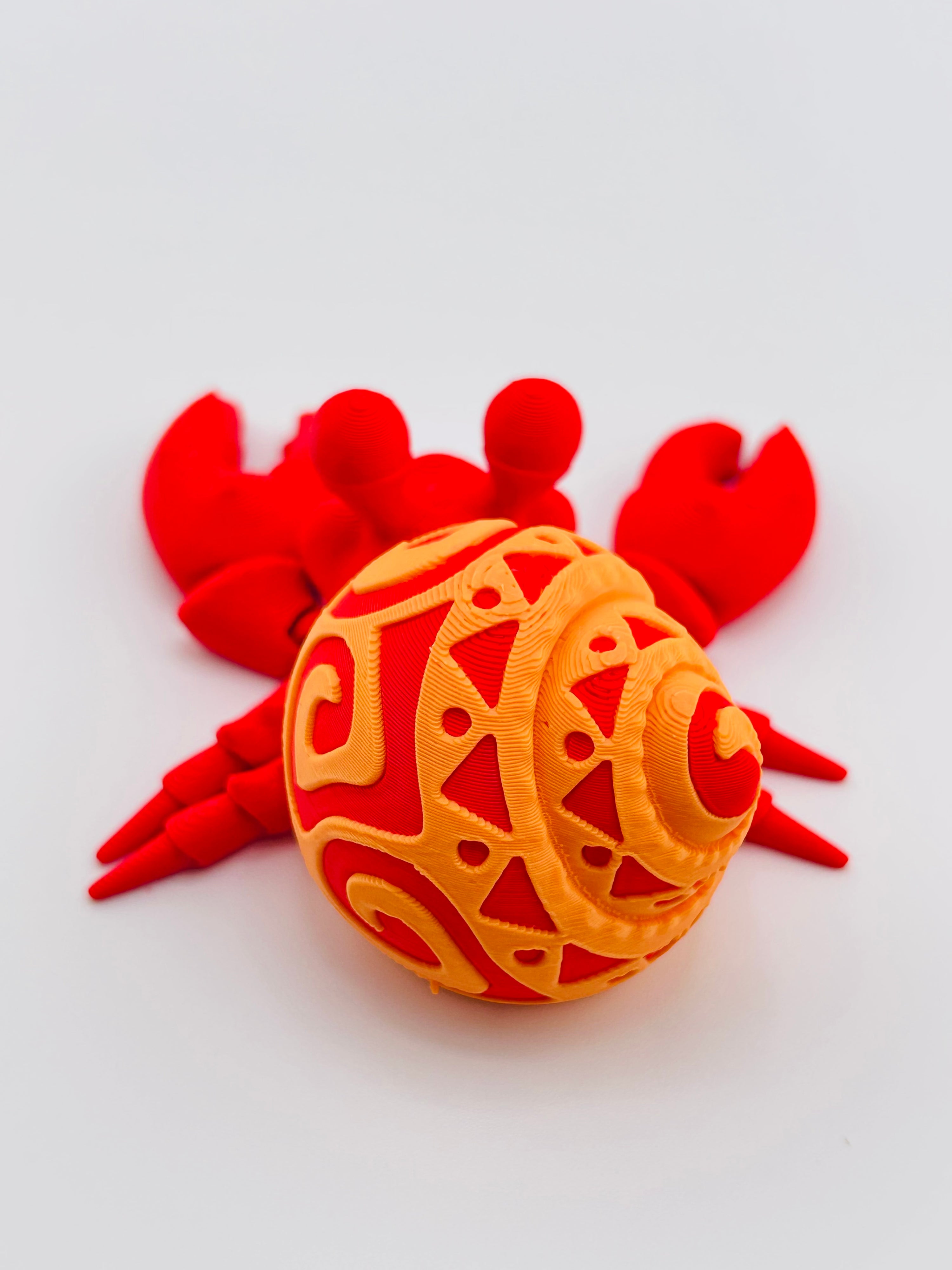 Tattooed Hermit Crab