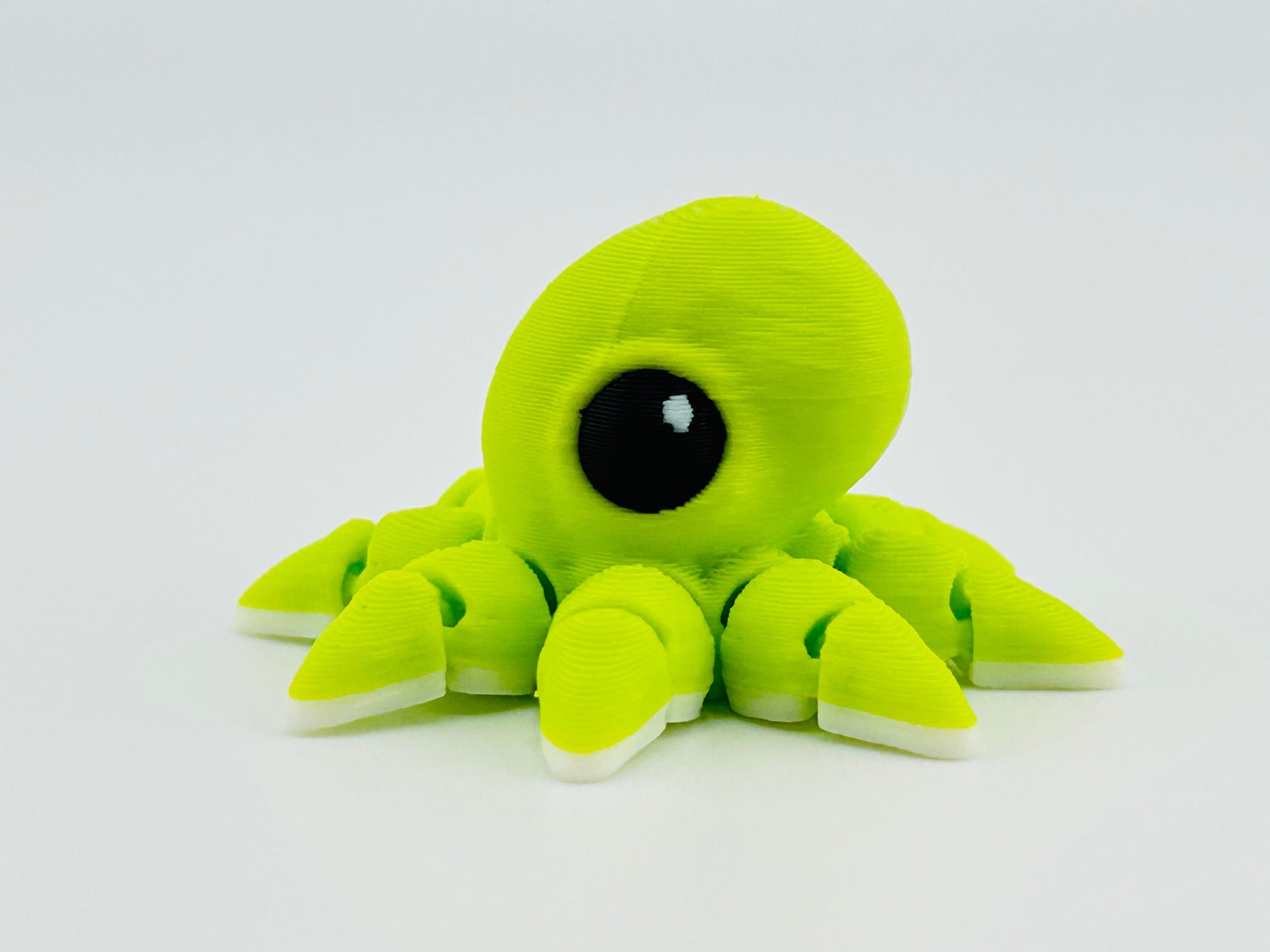 Octopus Hatchling Green