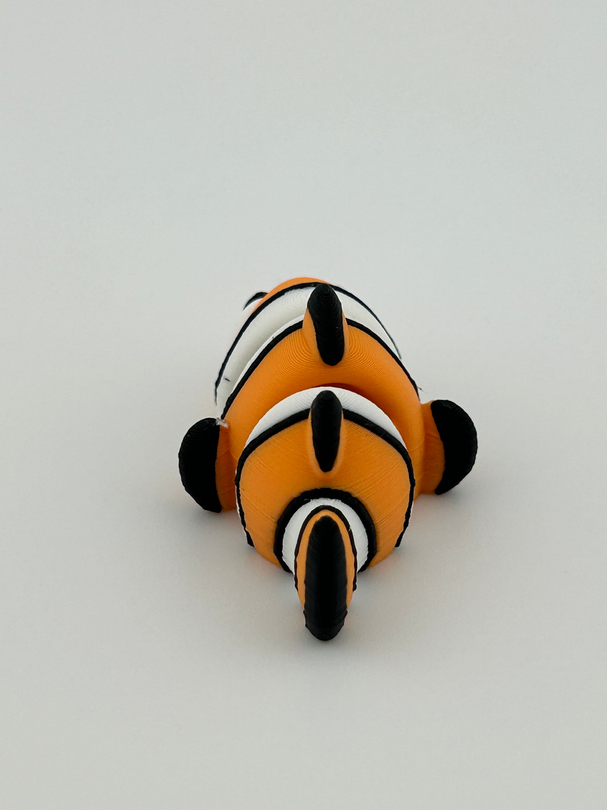 Clown Fish