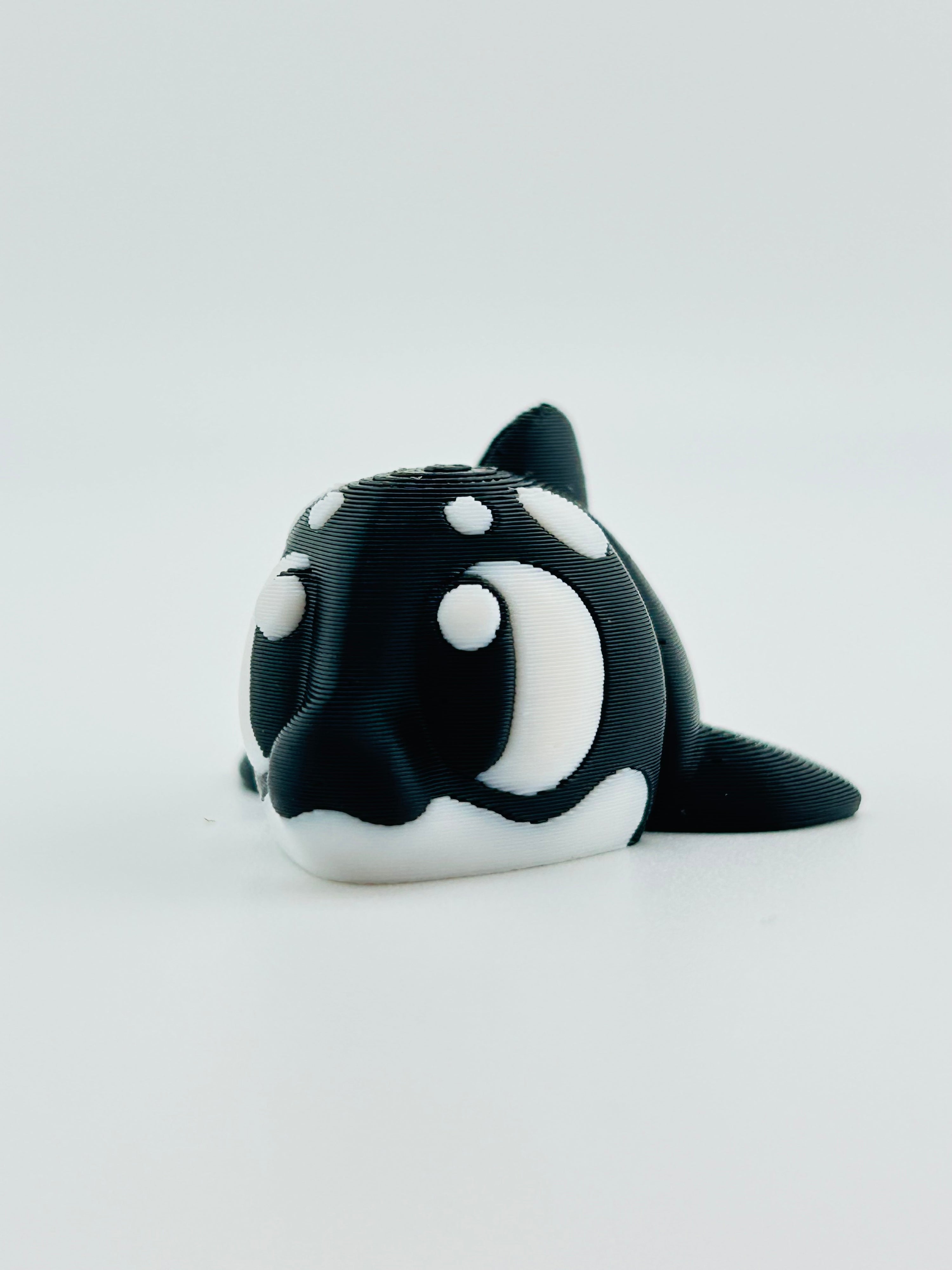 Killer Whale