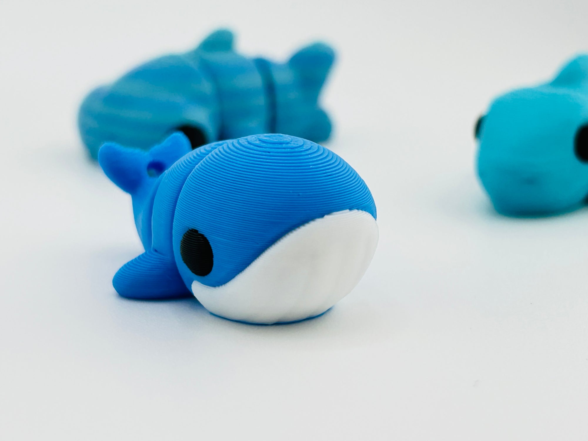 Baby Blue Whale