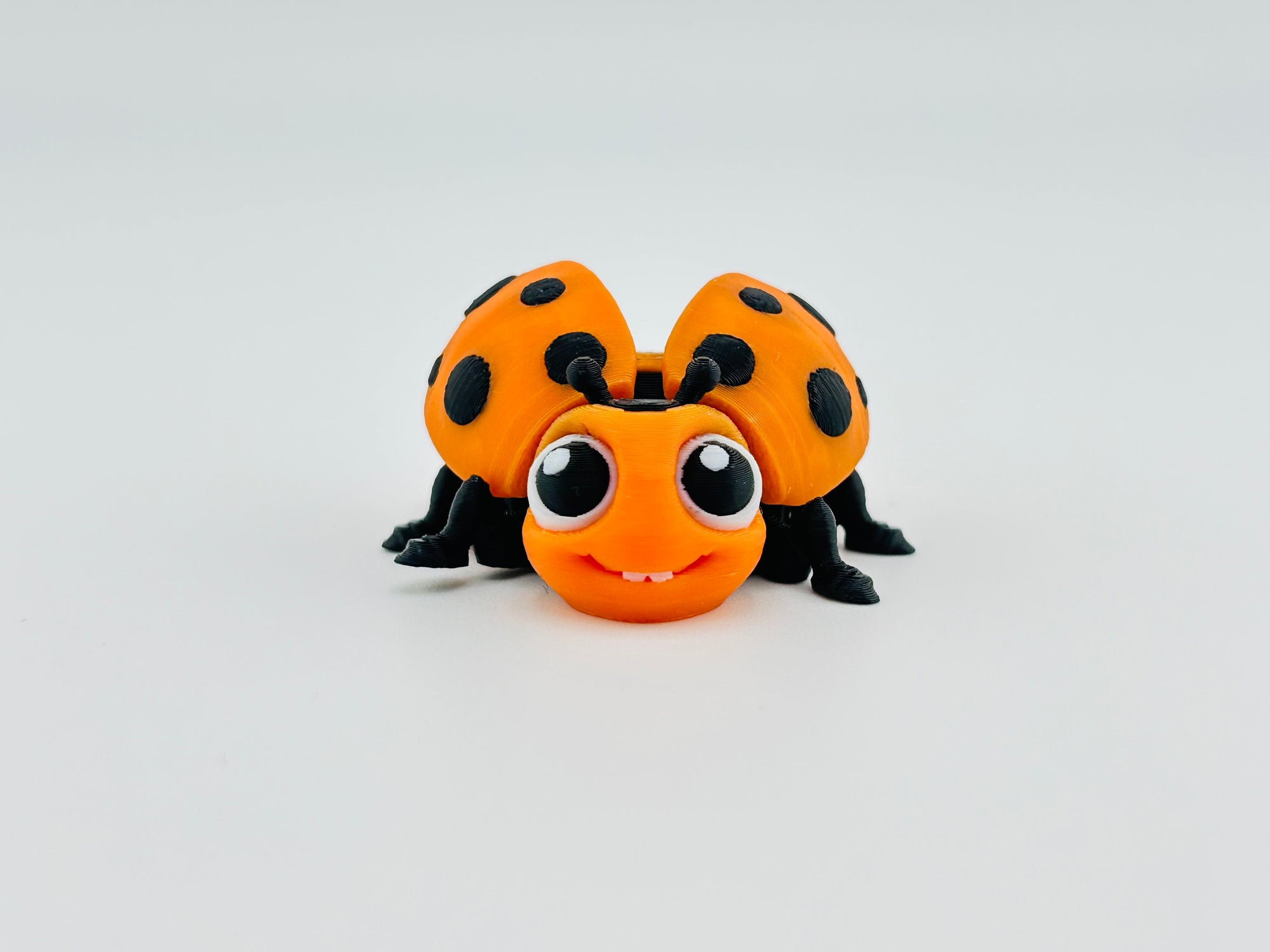 Ladybug Orange