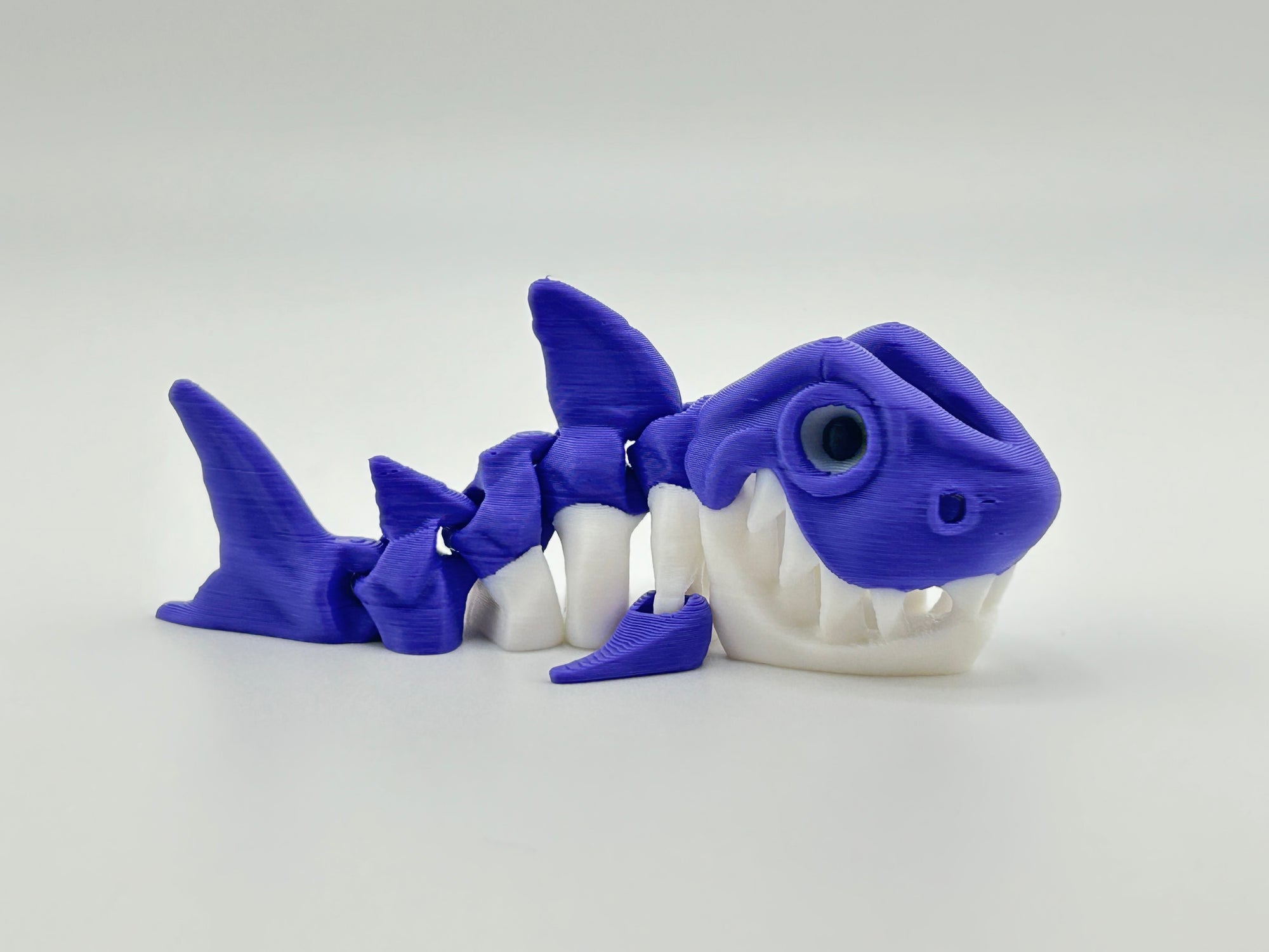 Mini Skeleton Shark