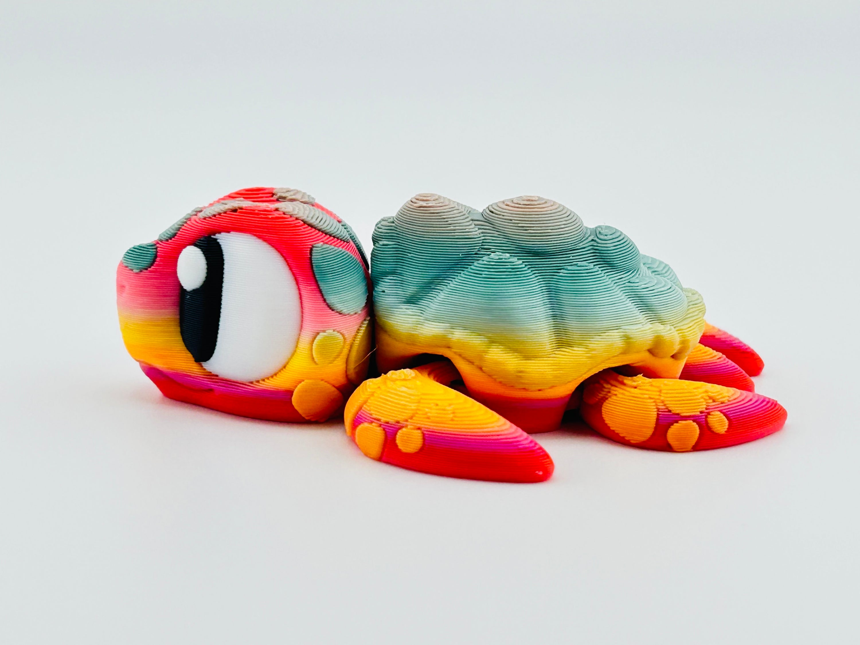 Sea Turtle Exclusive Gradient