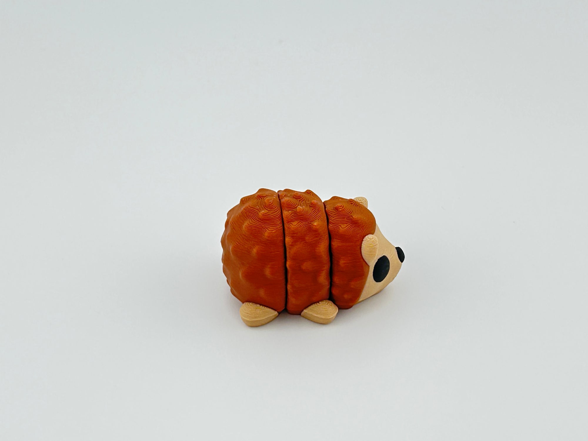 Baby Hedgehog
