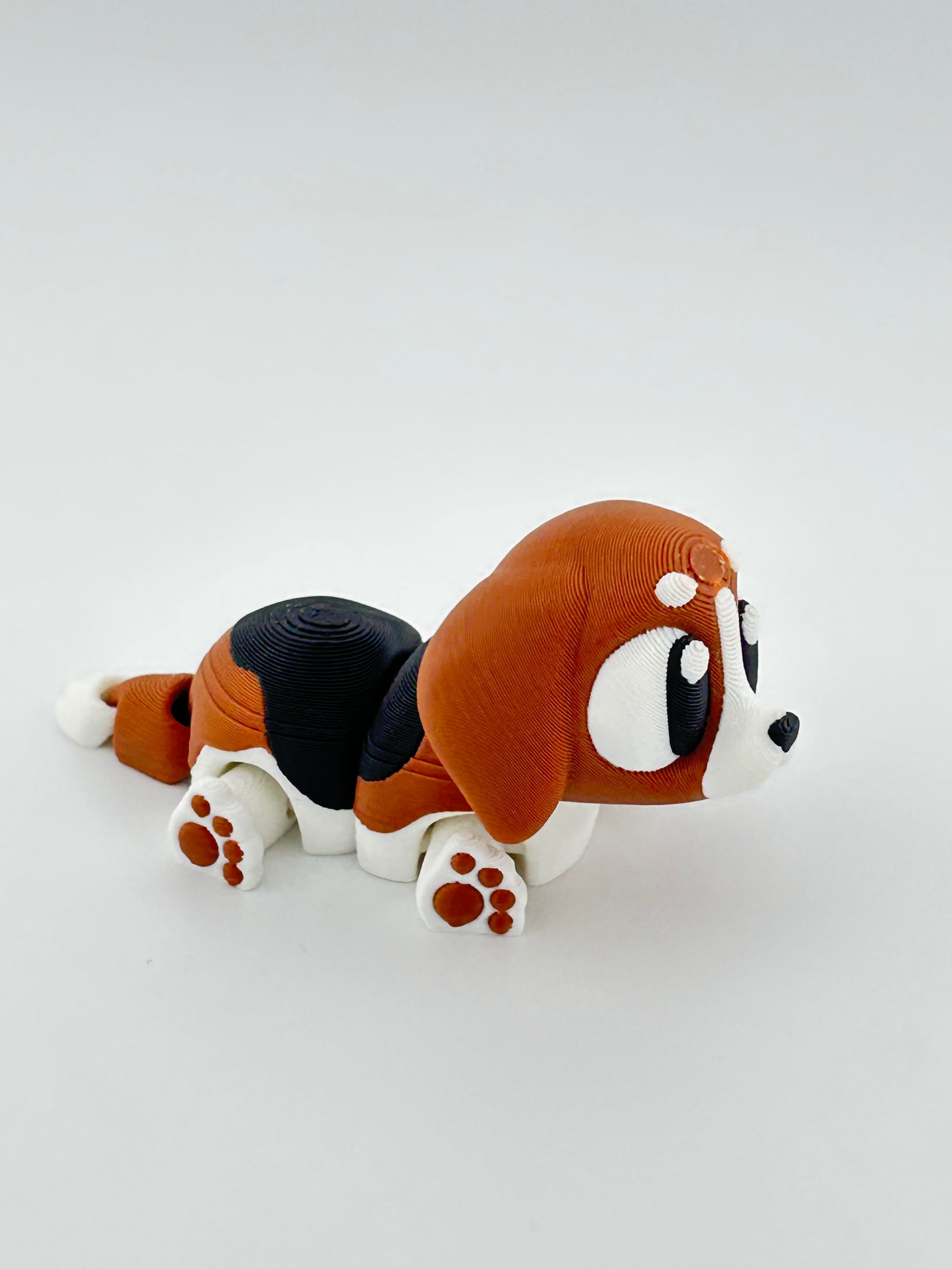 Beagle