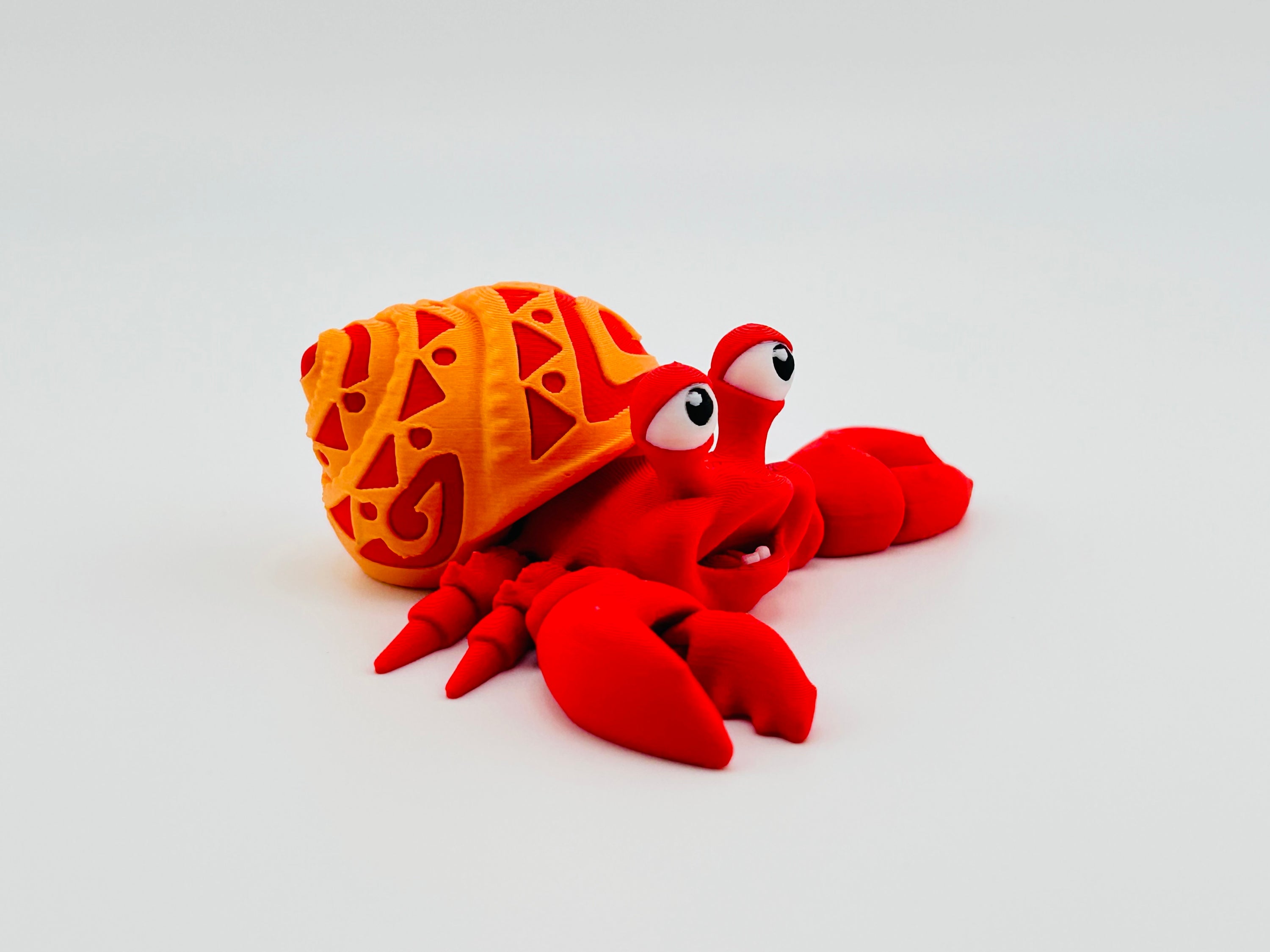 Tattooed Hermit Crab