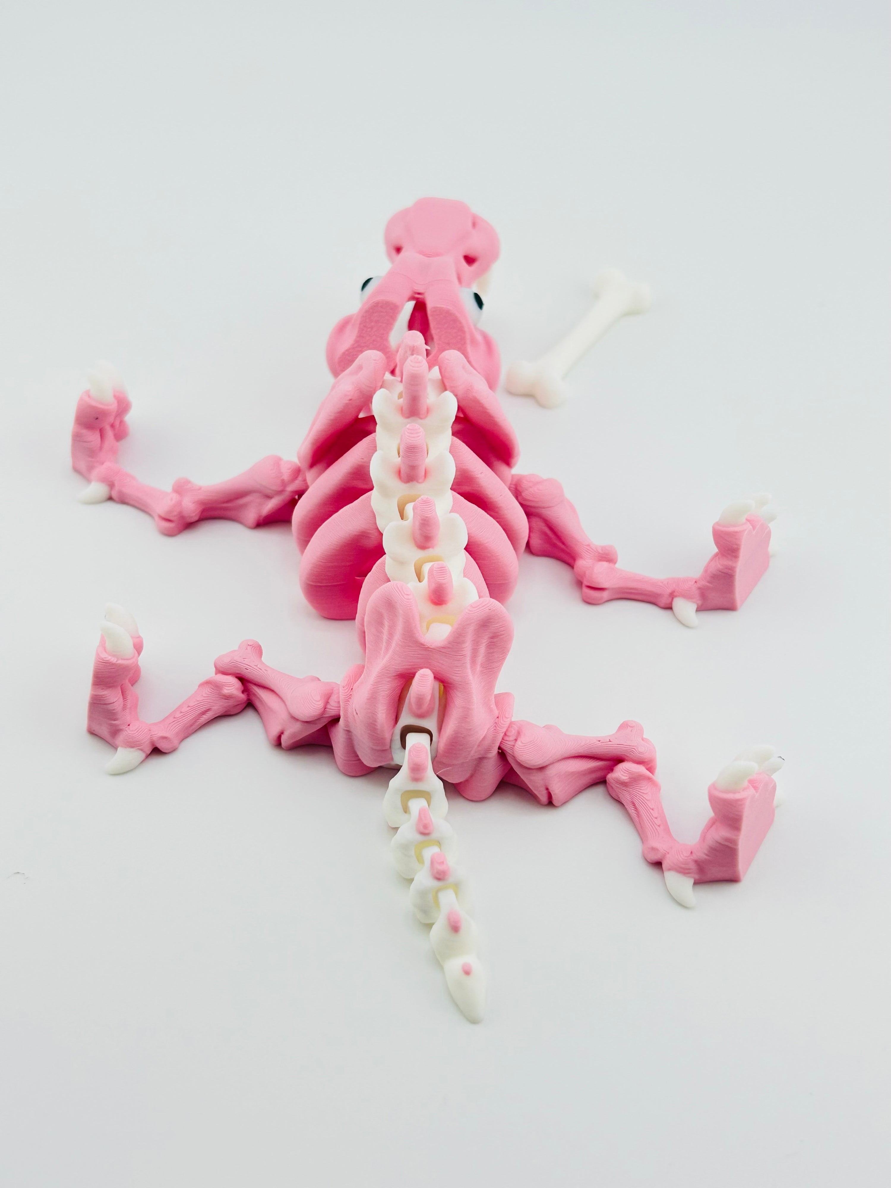 Skeleton Saber Tooth Tiger Pink