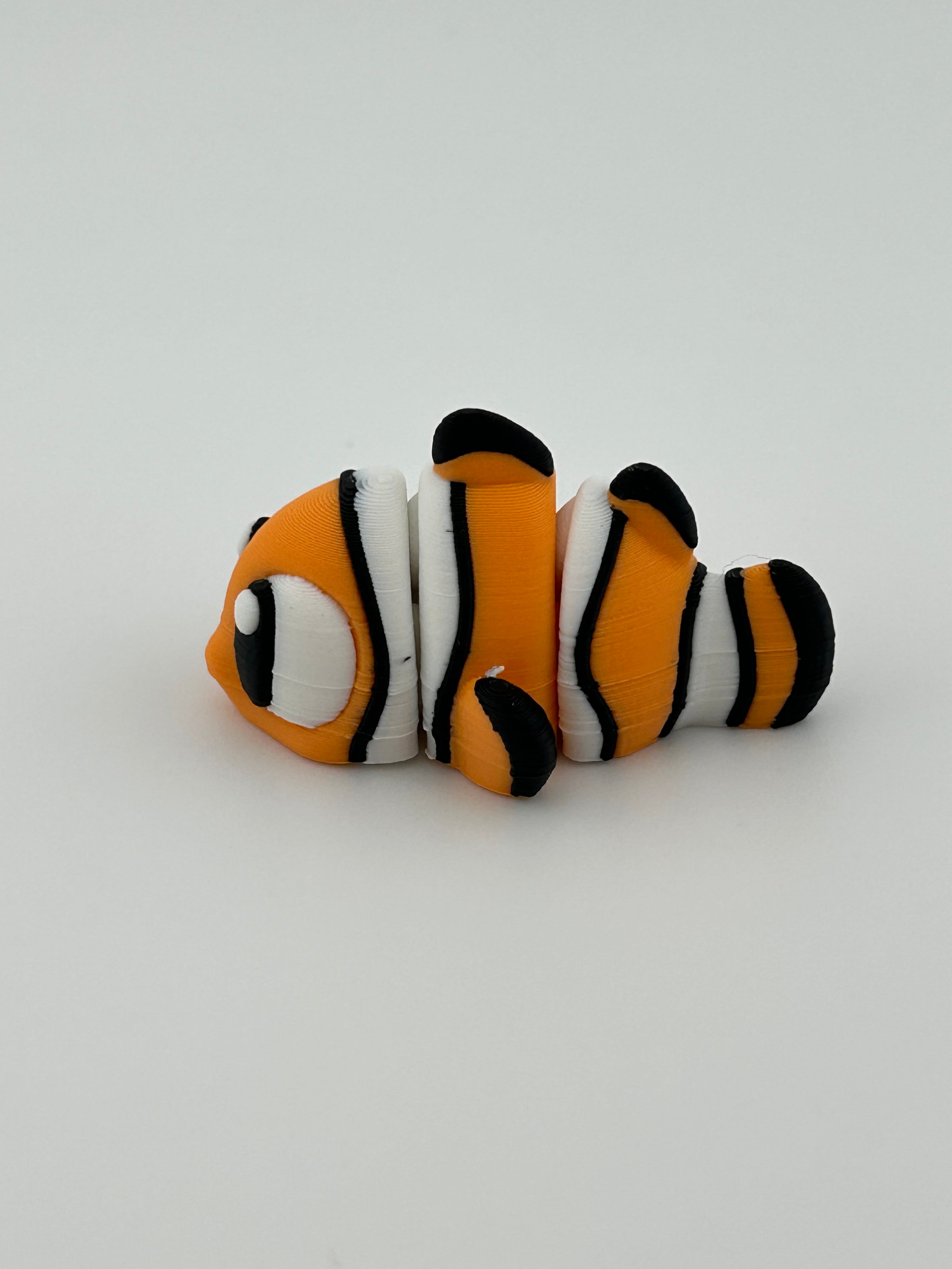 Clown Fish