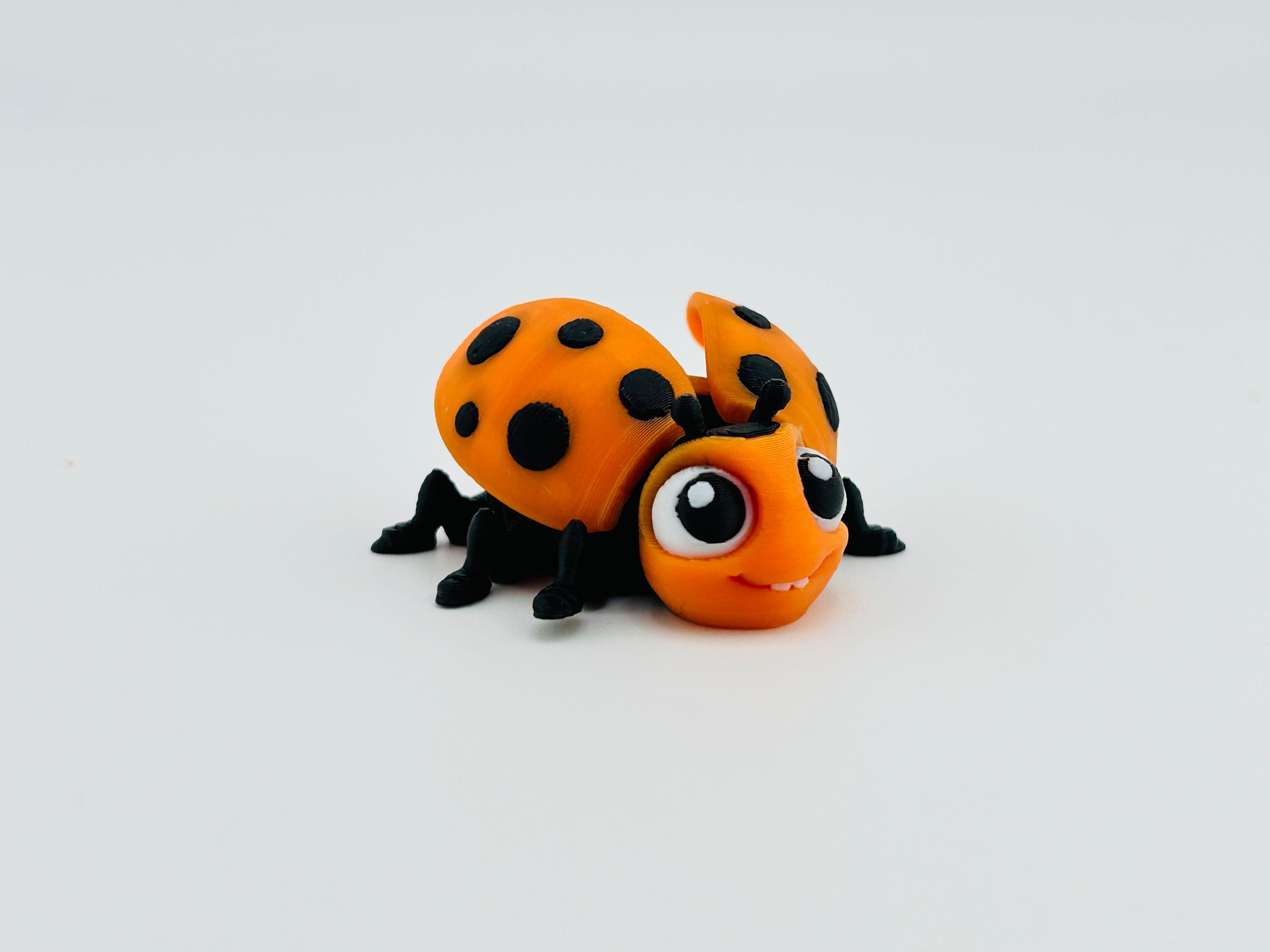 Ladybug Orange