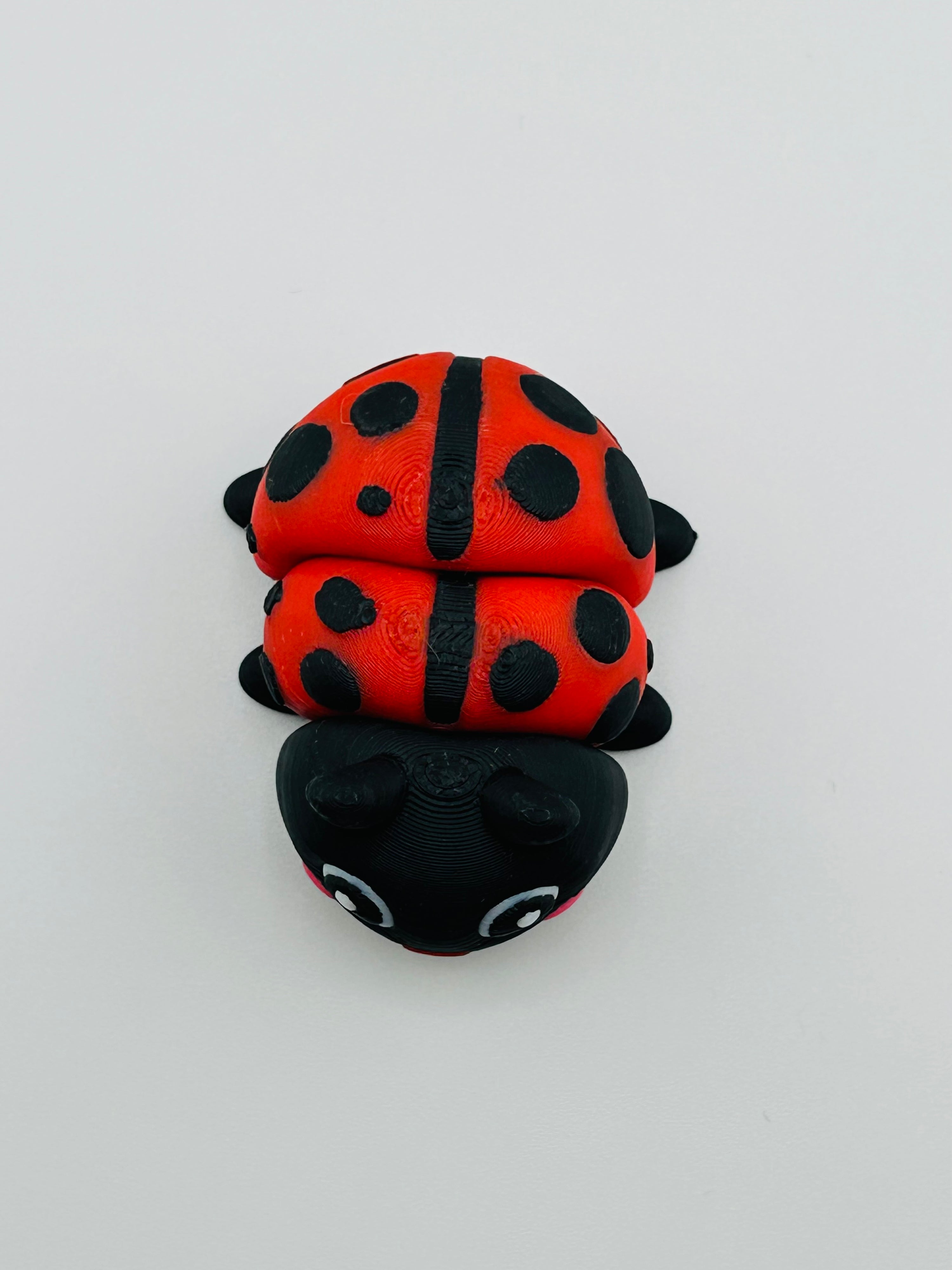 Ladybird Large