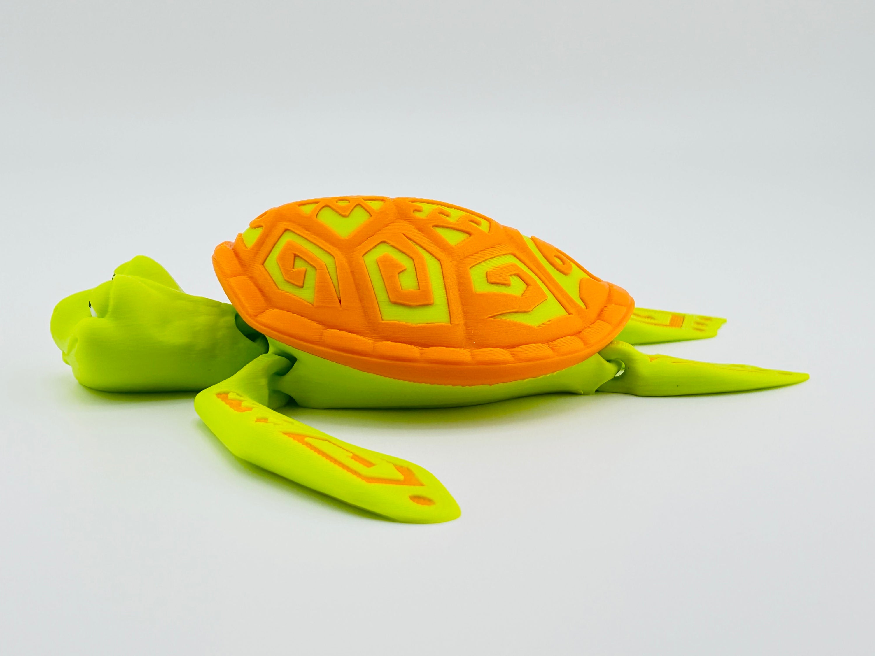 Tattooed Turtle