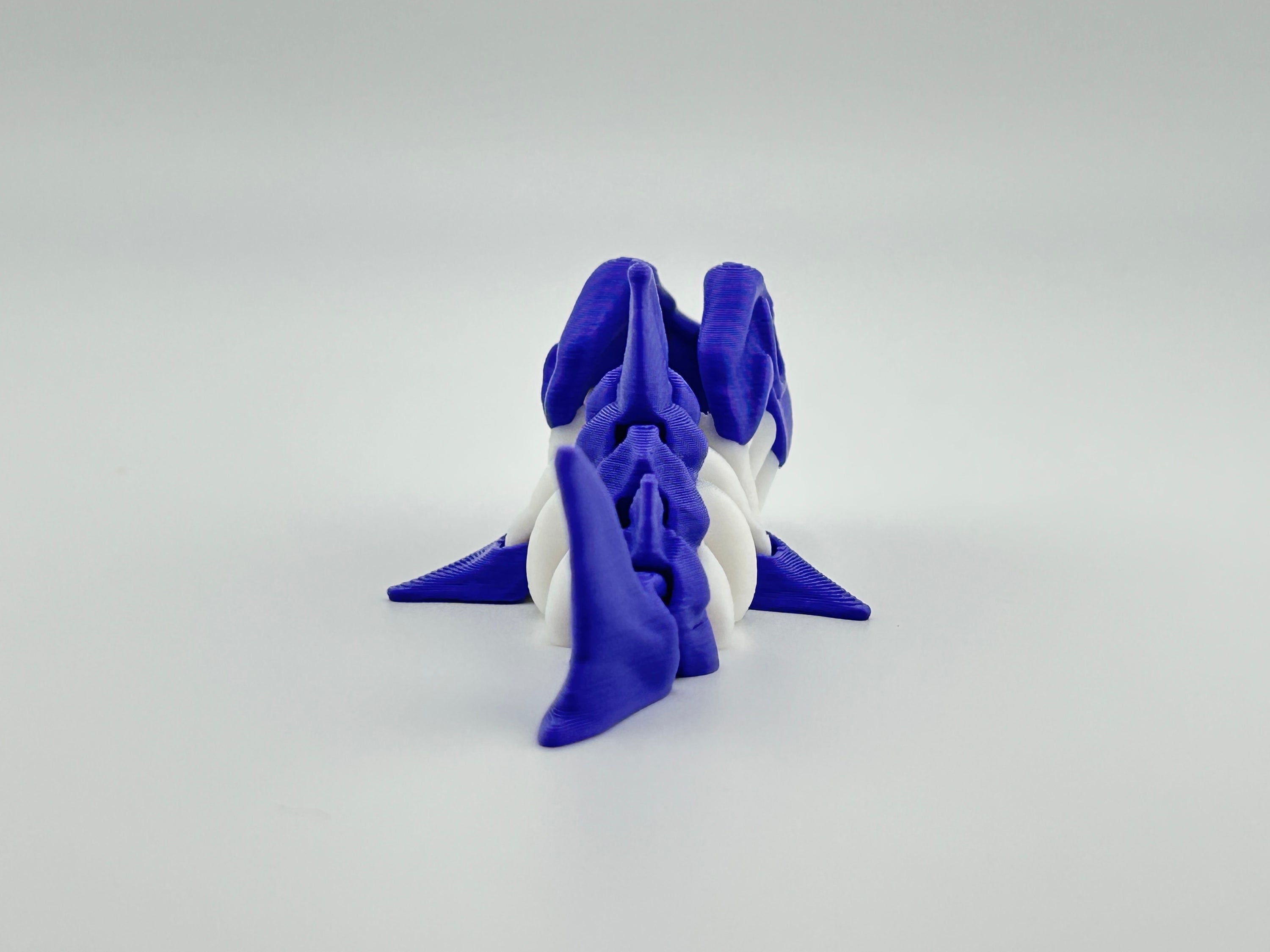 Mini Skeleton Shark