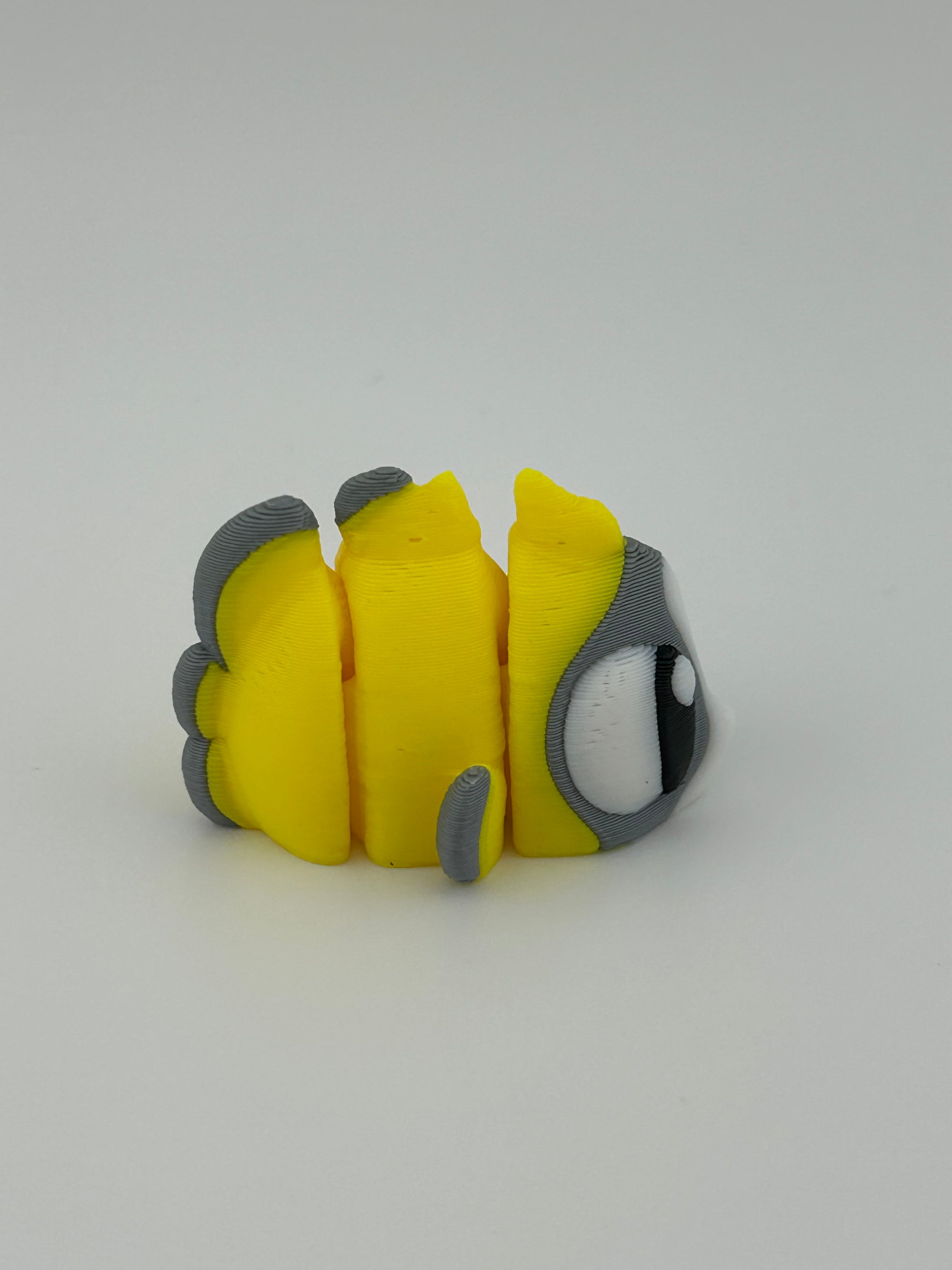 Butterfly Fish