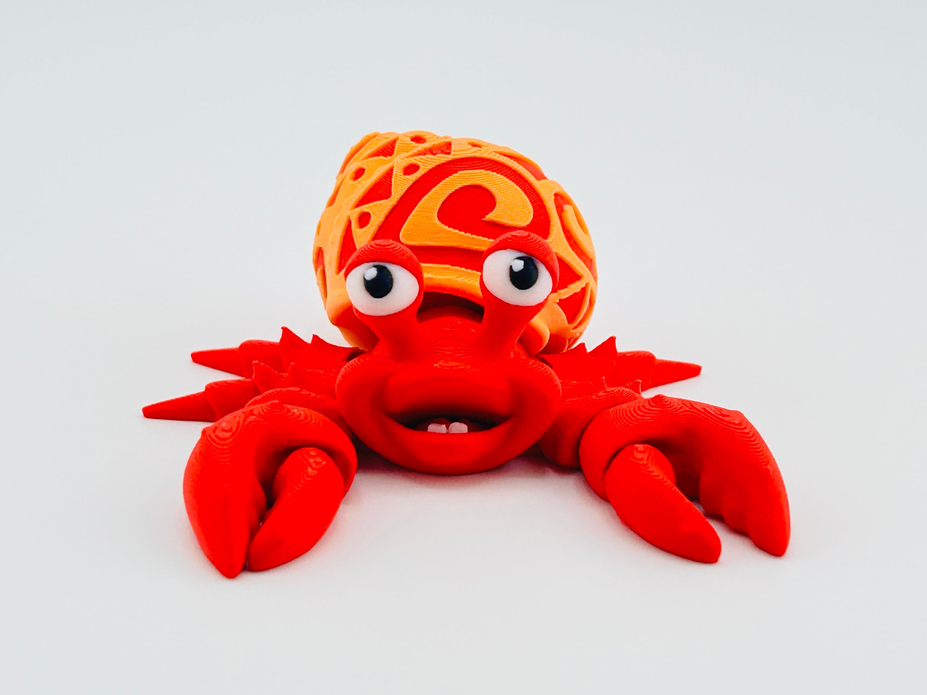 Tattooed Hermit Crab