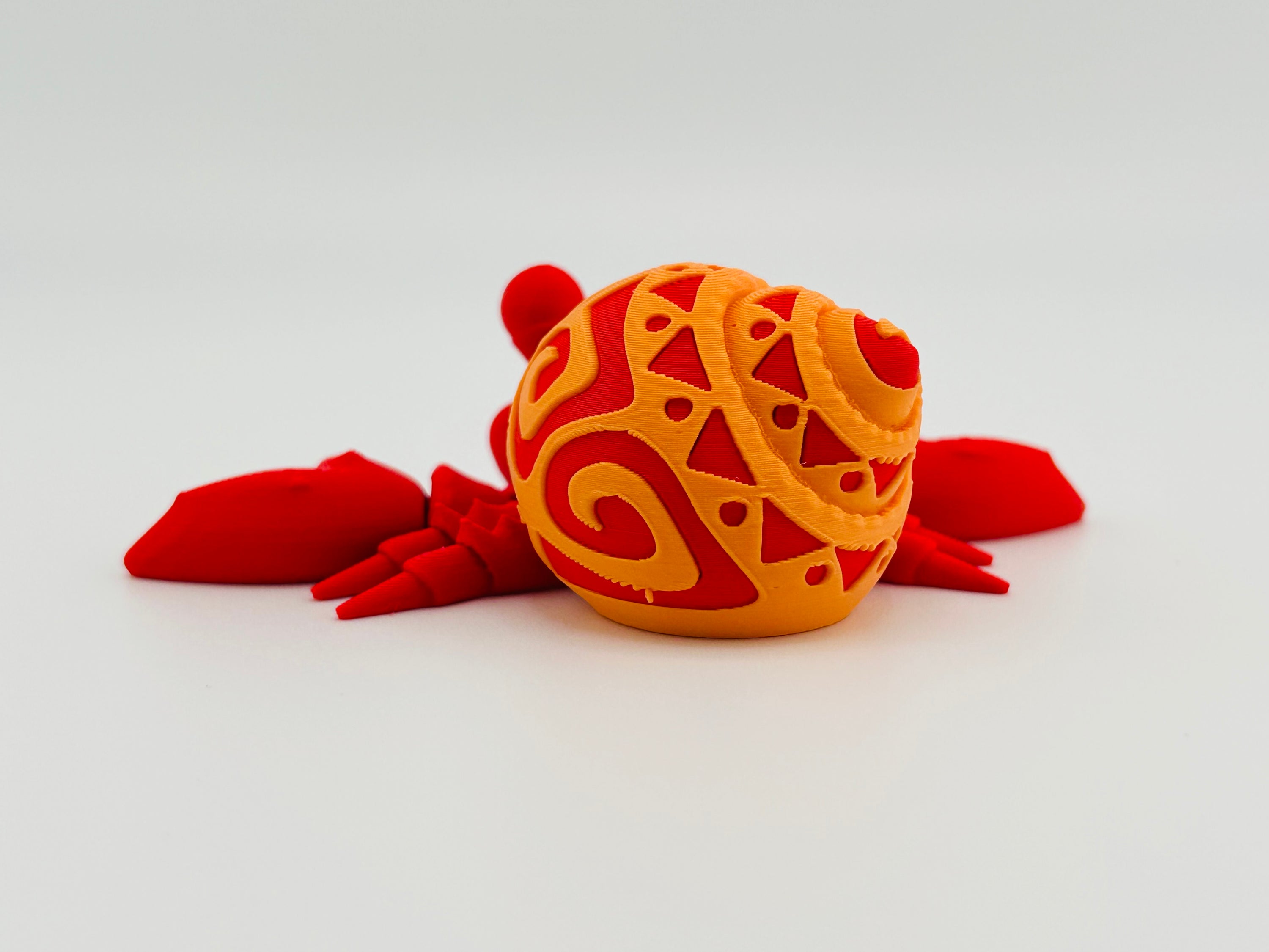 Tattooed Hermit Crab
