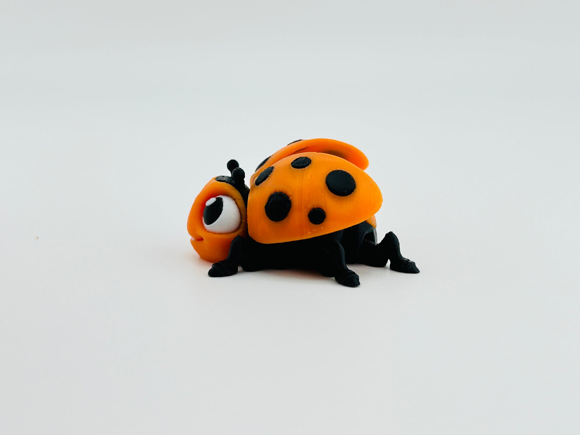Ladybug Orange