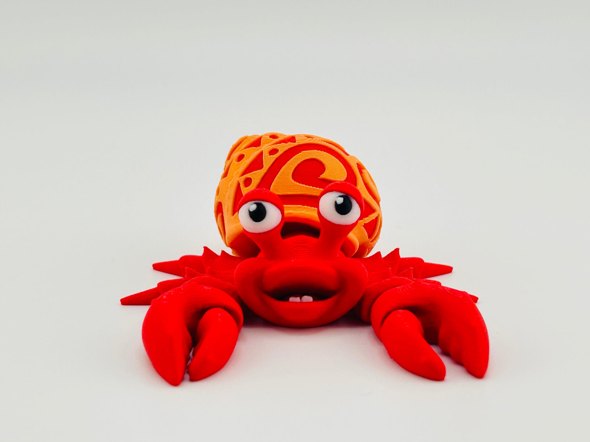 Tattooed Hermit Crab