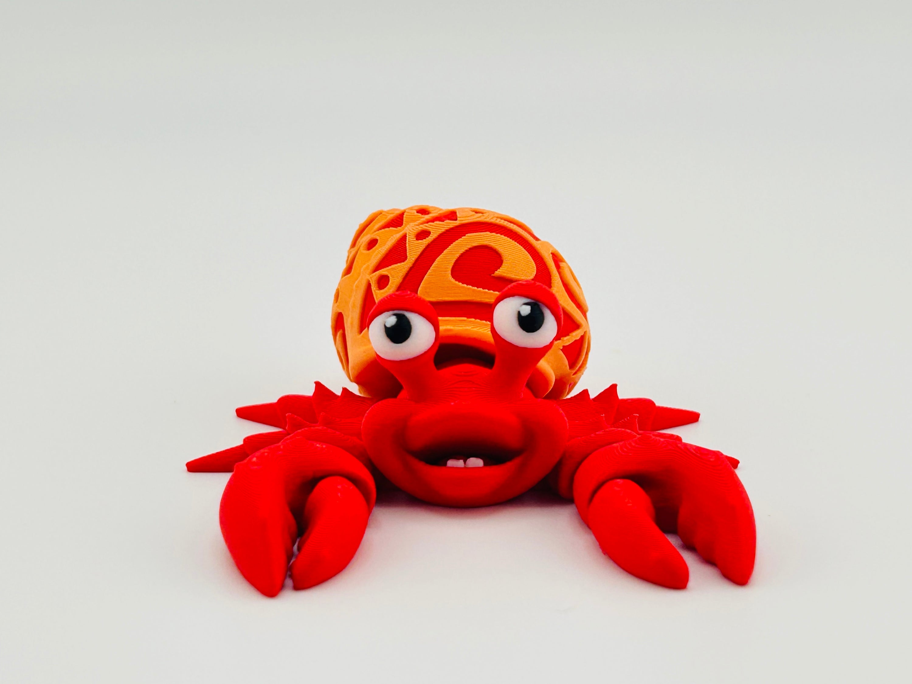 Tattooed Hermit Crab