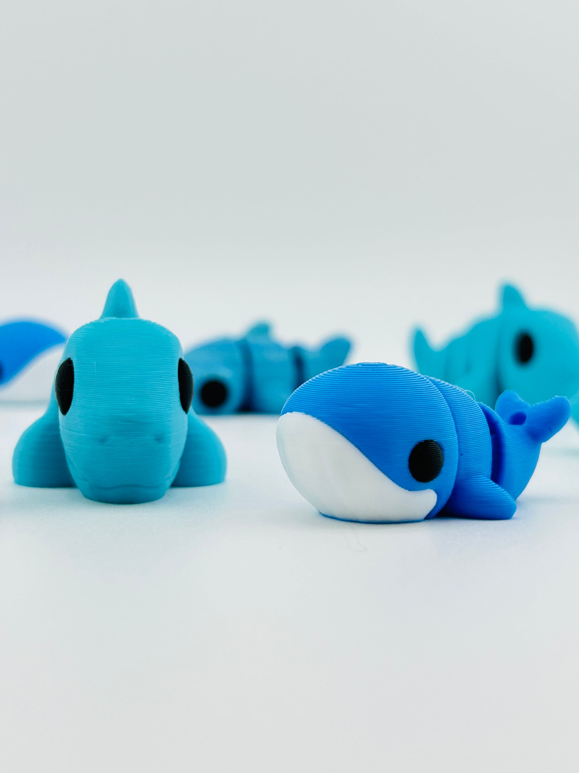 Baby Blue Whale