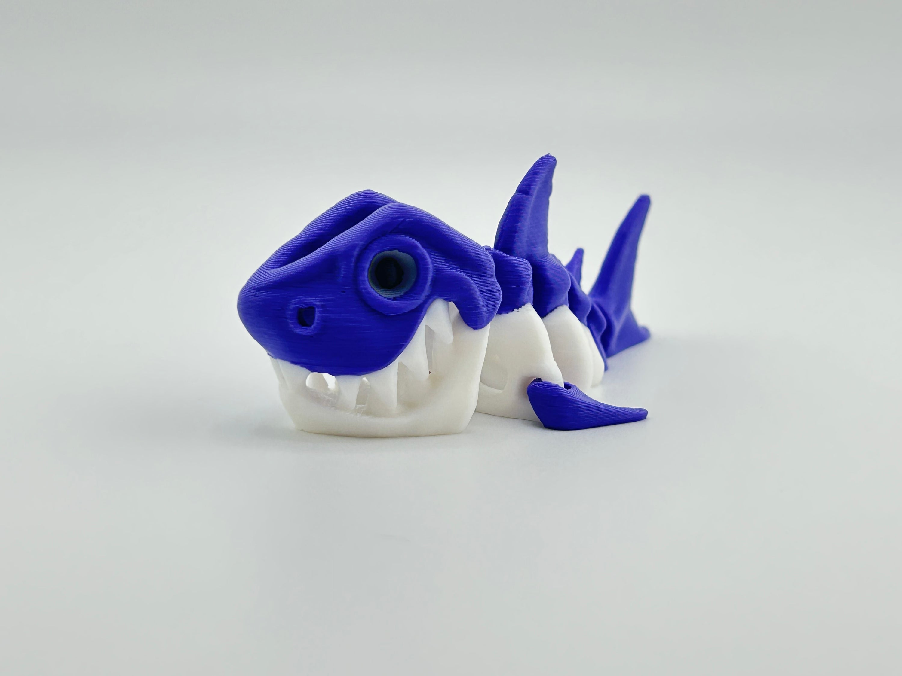 Mini Skeleton Shark