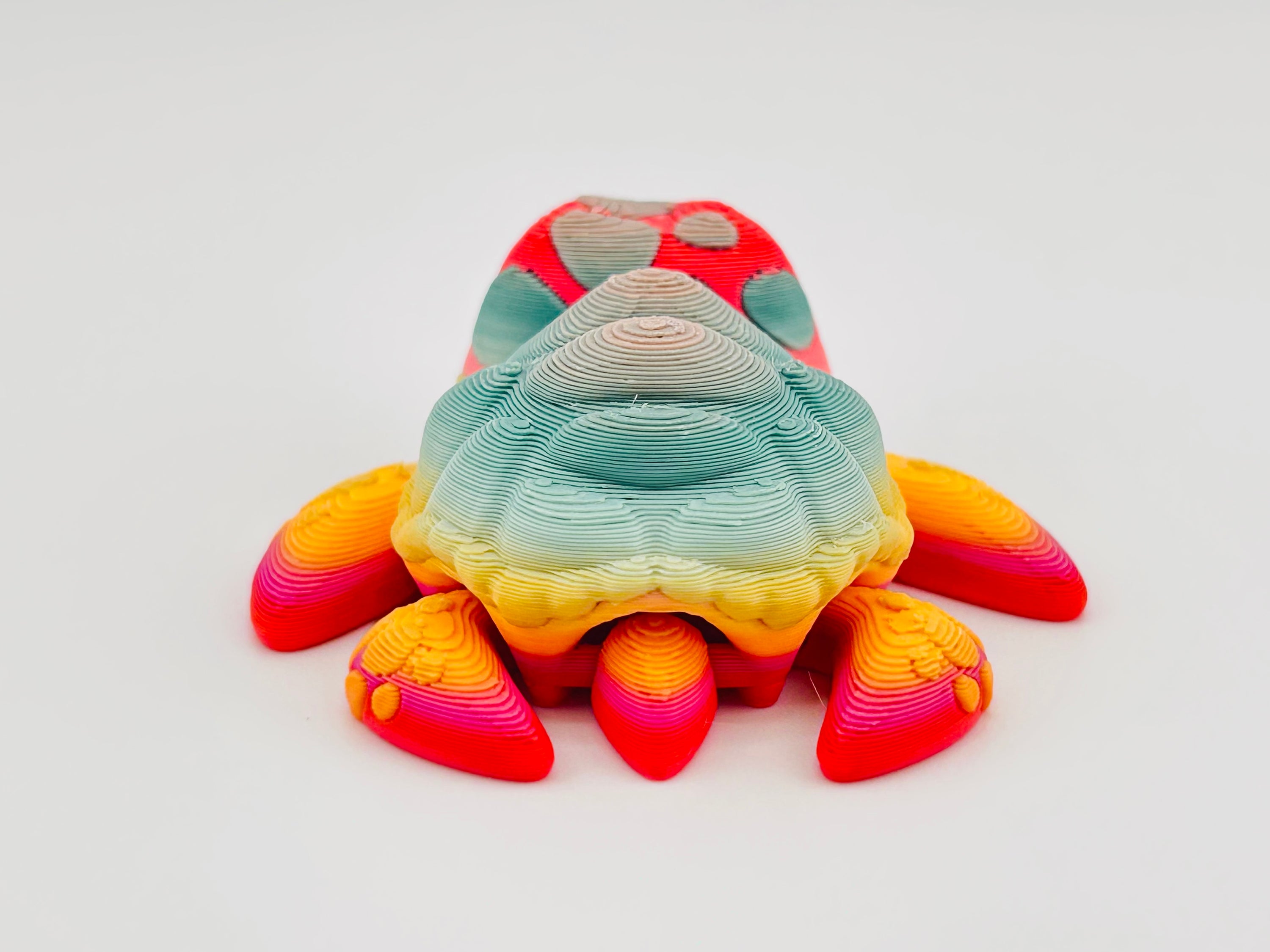 Sea Turtle Exclusive Gradient