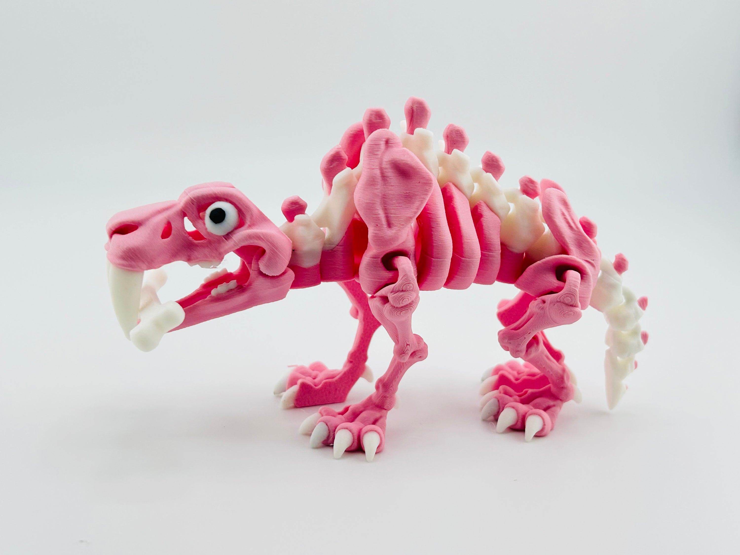 Skeleton Saber Tooth Tiger Pink
